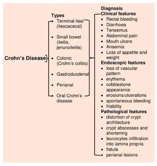 JCM | Free Full-Text | Revisiting Inflammatory Bowel Disease: Pathology ...