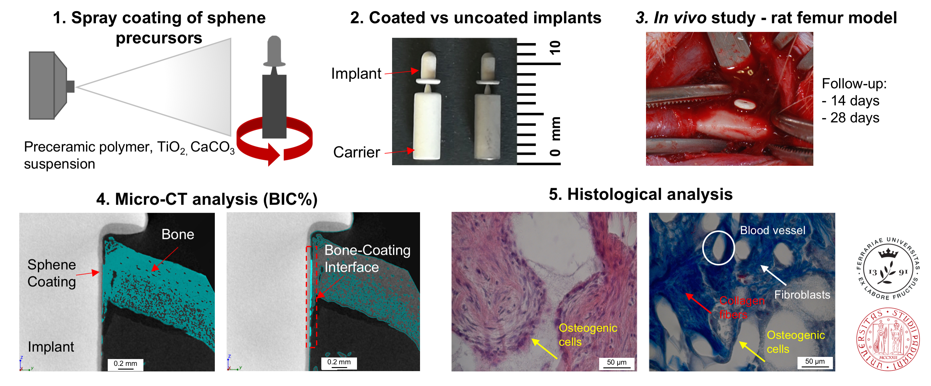 Titanium implant allergy symptoms