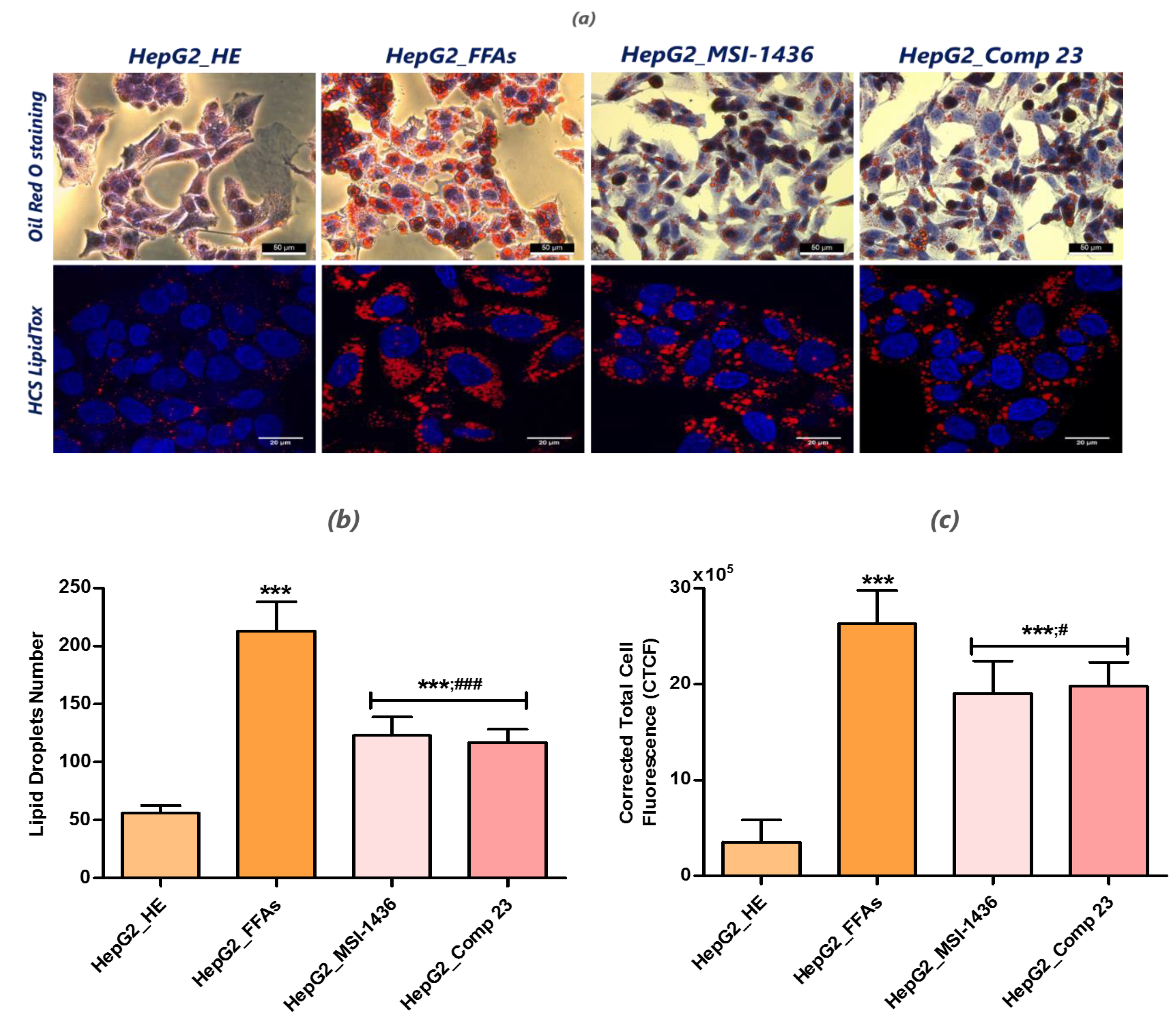 Jcm Free Full Text Inhibition Of Protein Tyrosine Phosphatase Ptp1b And Lmptp Promotes Palmitate Oleate Challenged Hepg2 Cell Survival By Reducing Lipoapoptosis Improving Mitochondrial Dynamics And Mitigating Oxidative And Endoplasmic Reticulum