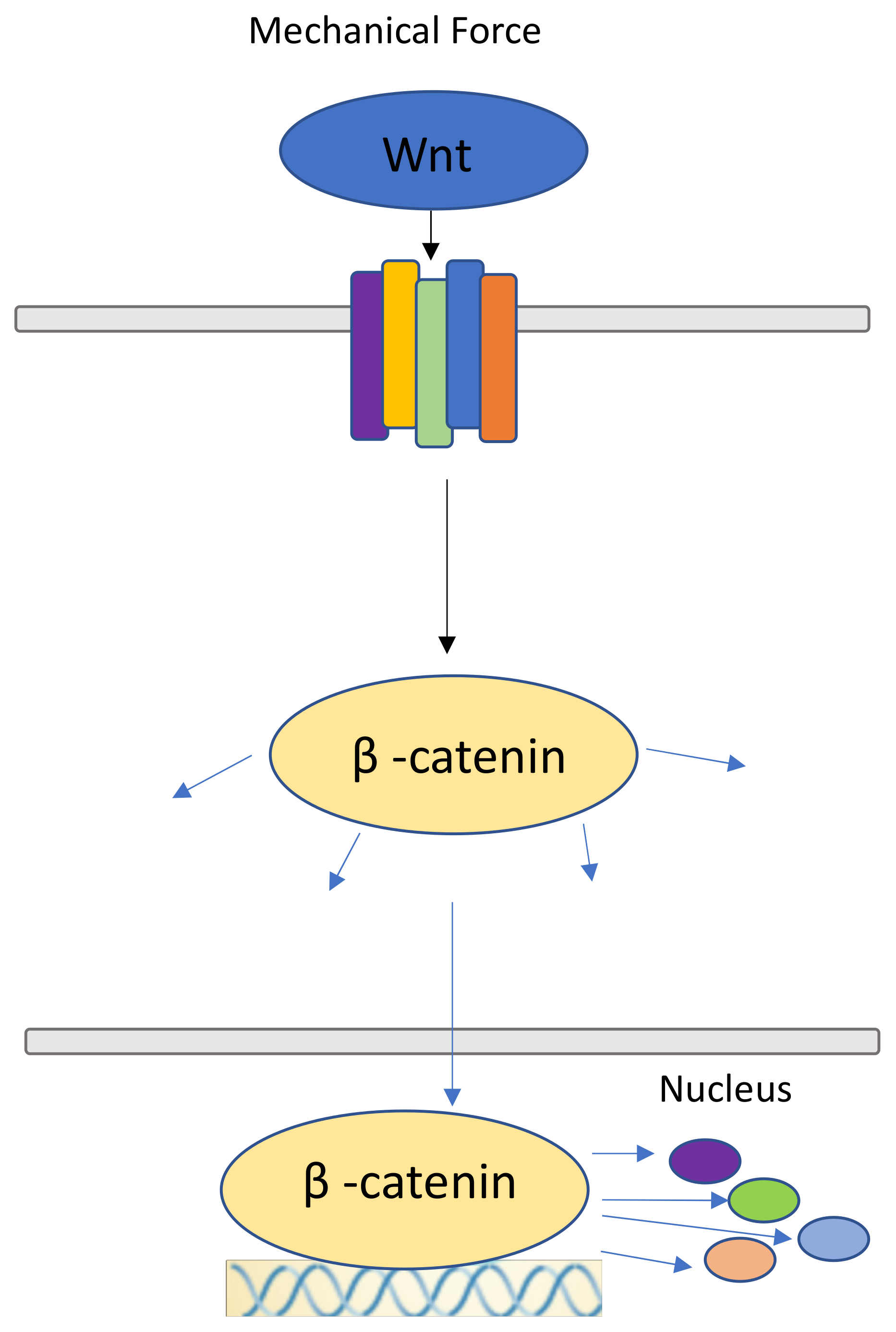 Jcm 09 01423 g003 Jcm 09 01423 g003