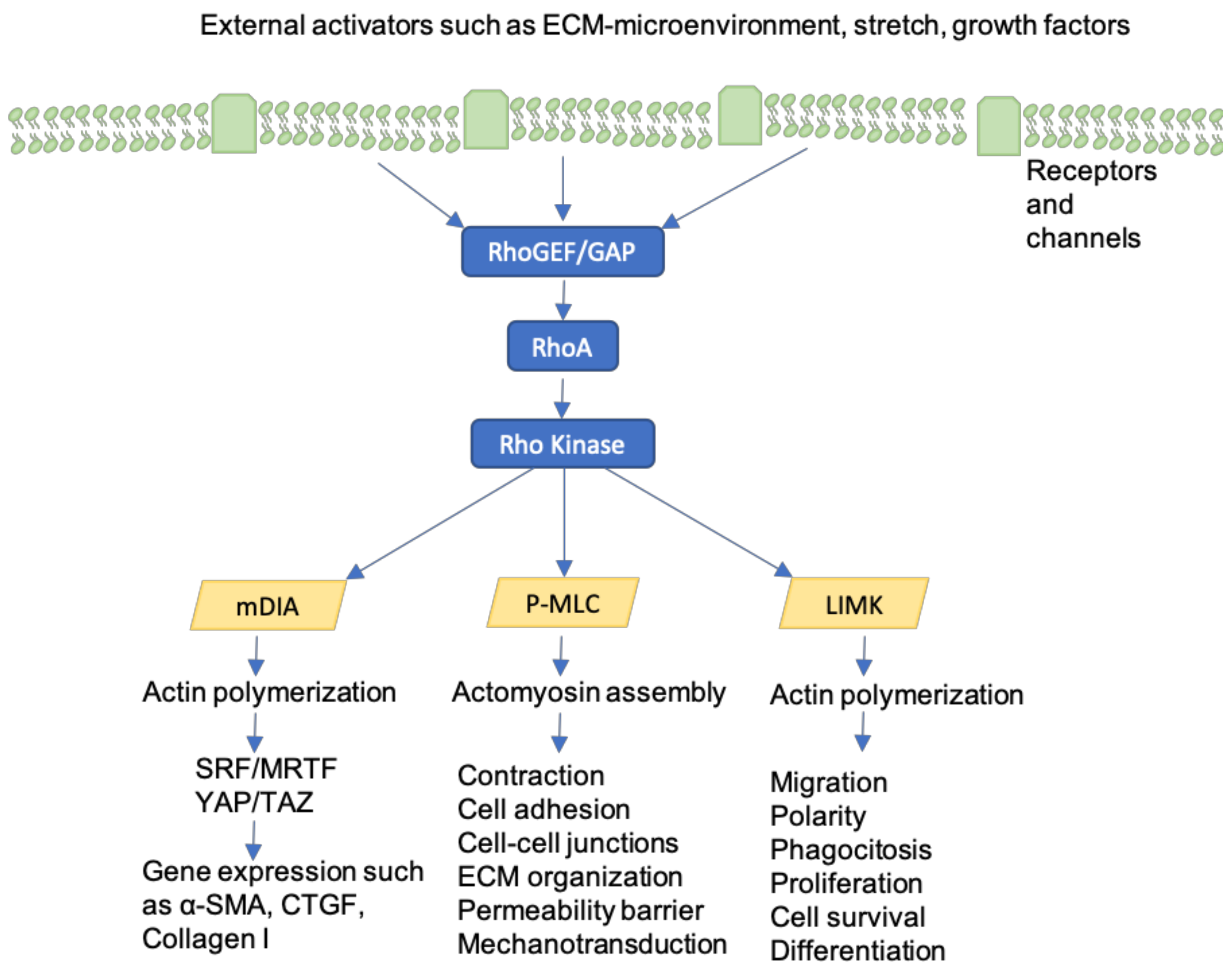 Jcm 09 01423 g006 Jcm 09 01423 g006