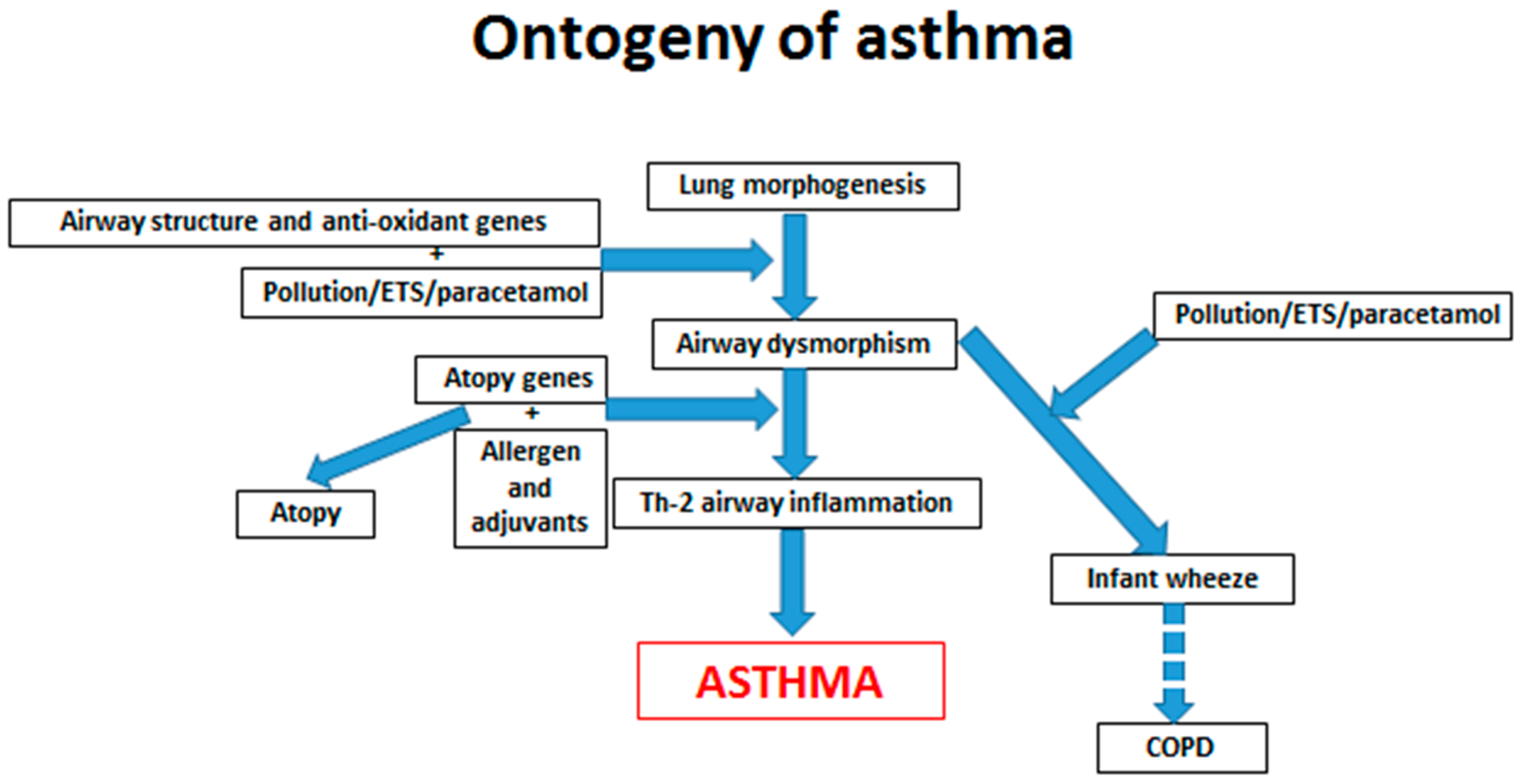 Jcm 09 01483 g001 Jcm 09 01483 g001