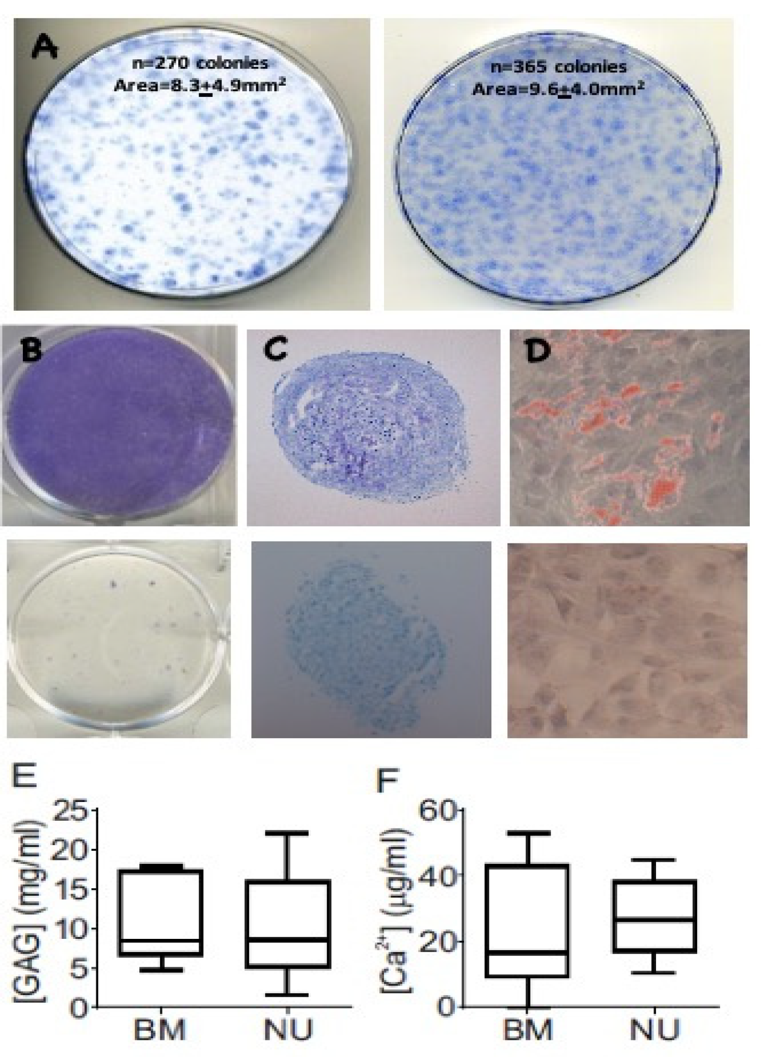 Jcm 09 01628 g001 Jcm 09 01628 g001
