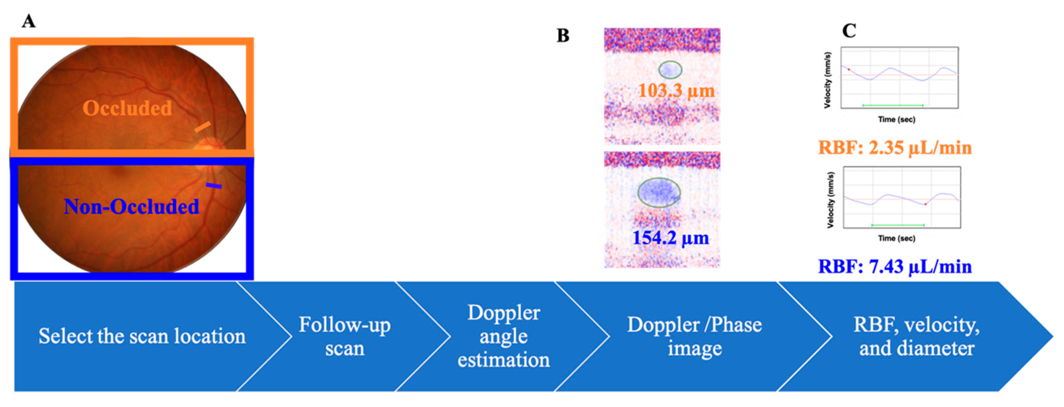 Jcm 09 01847 g001 Jcm 09 01847 g001