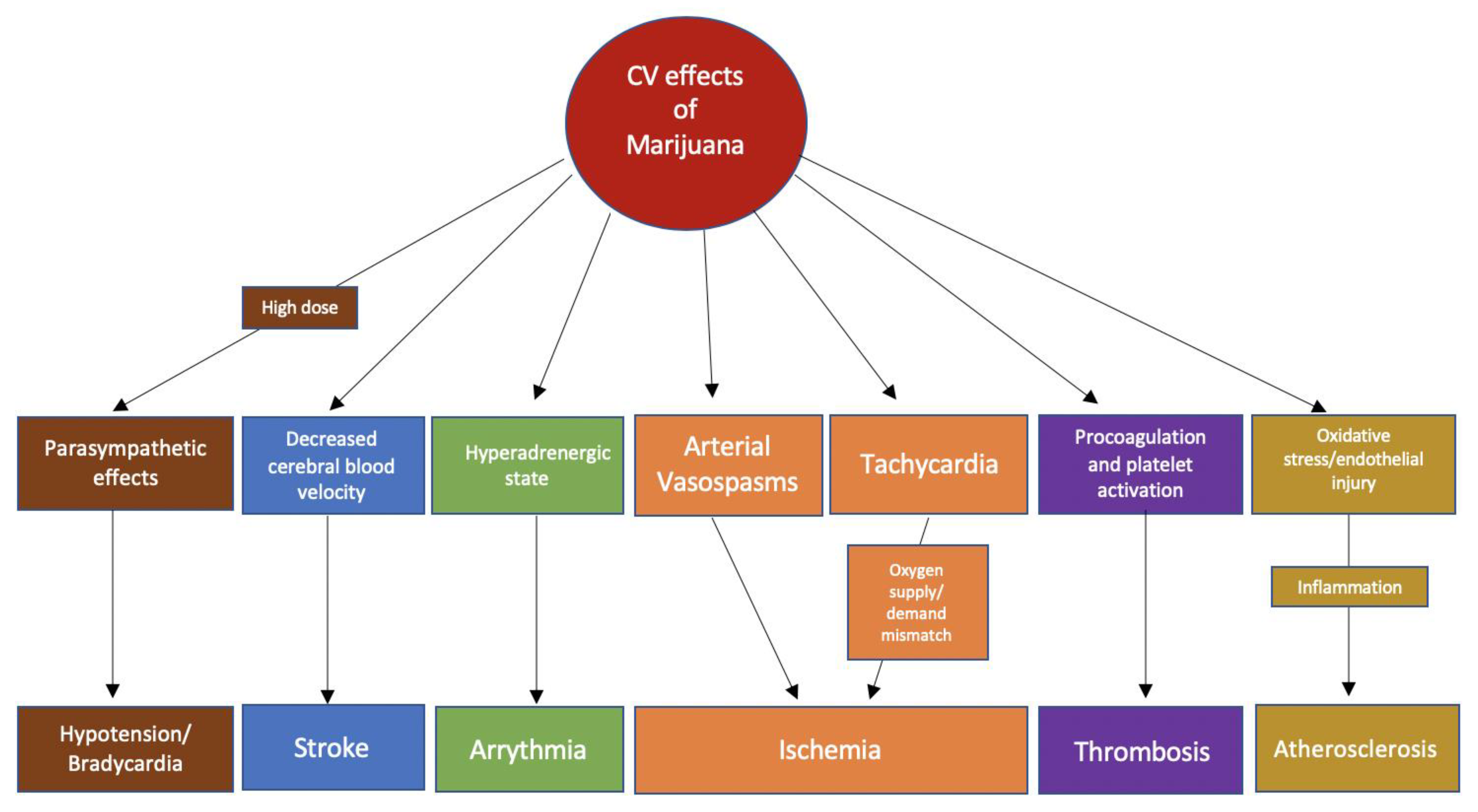 JCM | Free Full-Text | The Impact of Marijuana on the Cardiovascular  System: A Review of the Most Common Cardiovascular Events Associated with  Marijuana Use