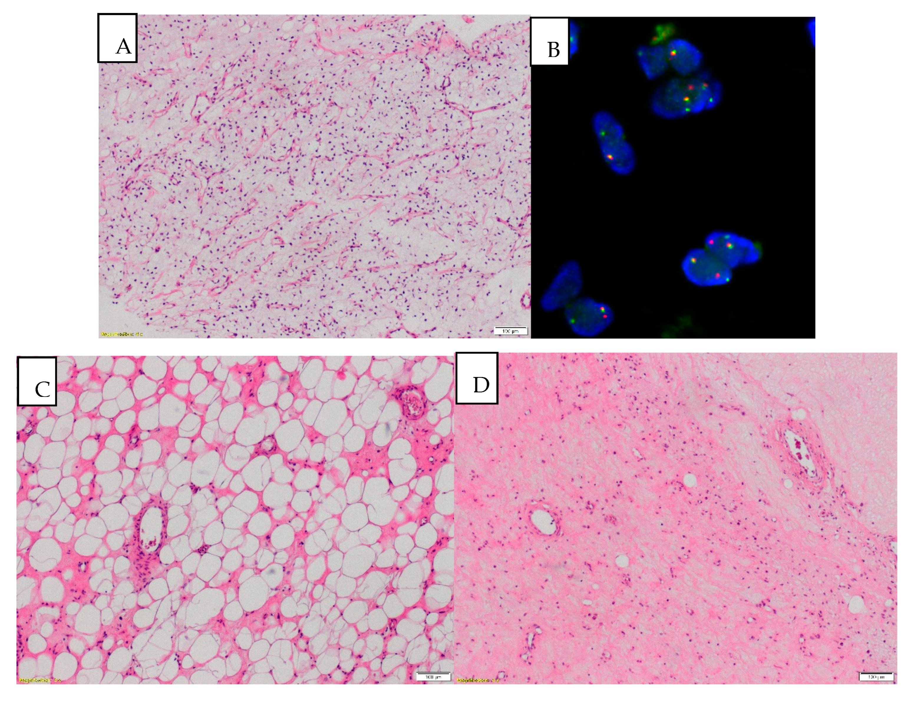 Jcm 09 02471 g003 Jcm 09 02471 g003