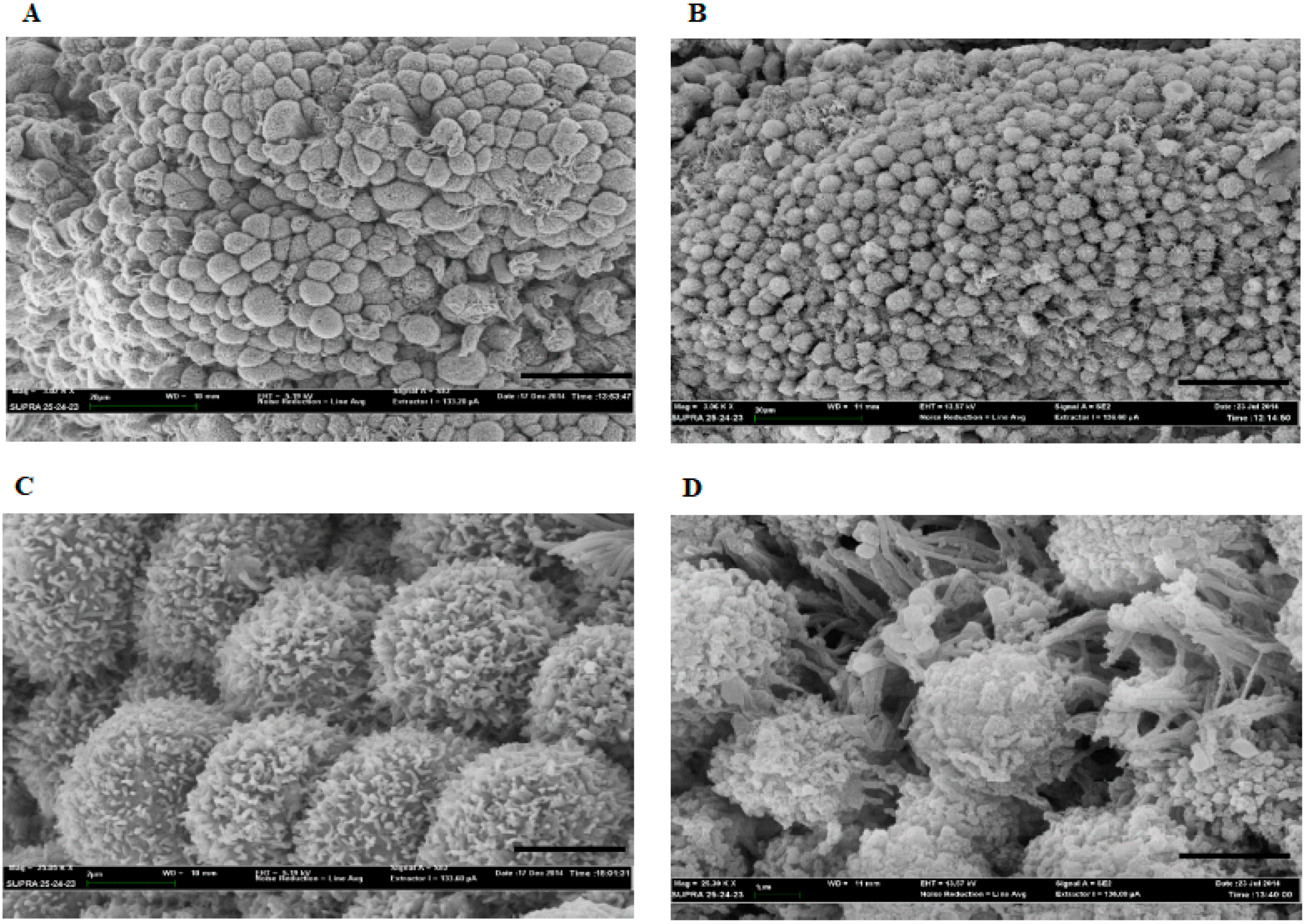 Jcm 09 02634 g001 Jcm 09 02634 g001