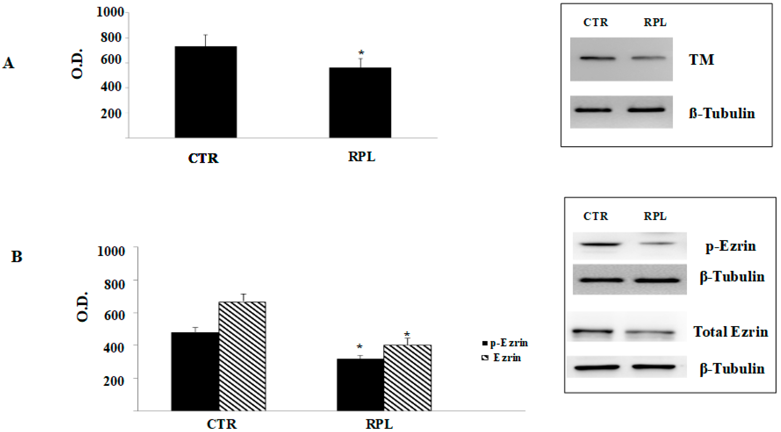 Jcm 09 02634 g003 Jcm 09 02634 g003