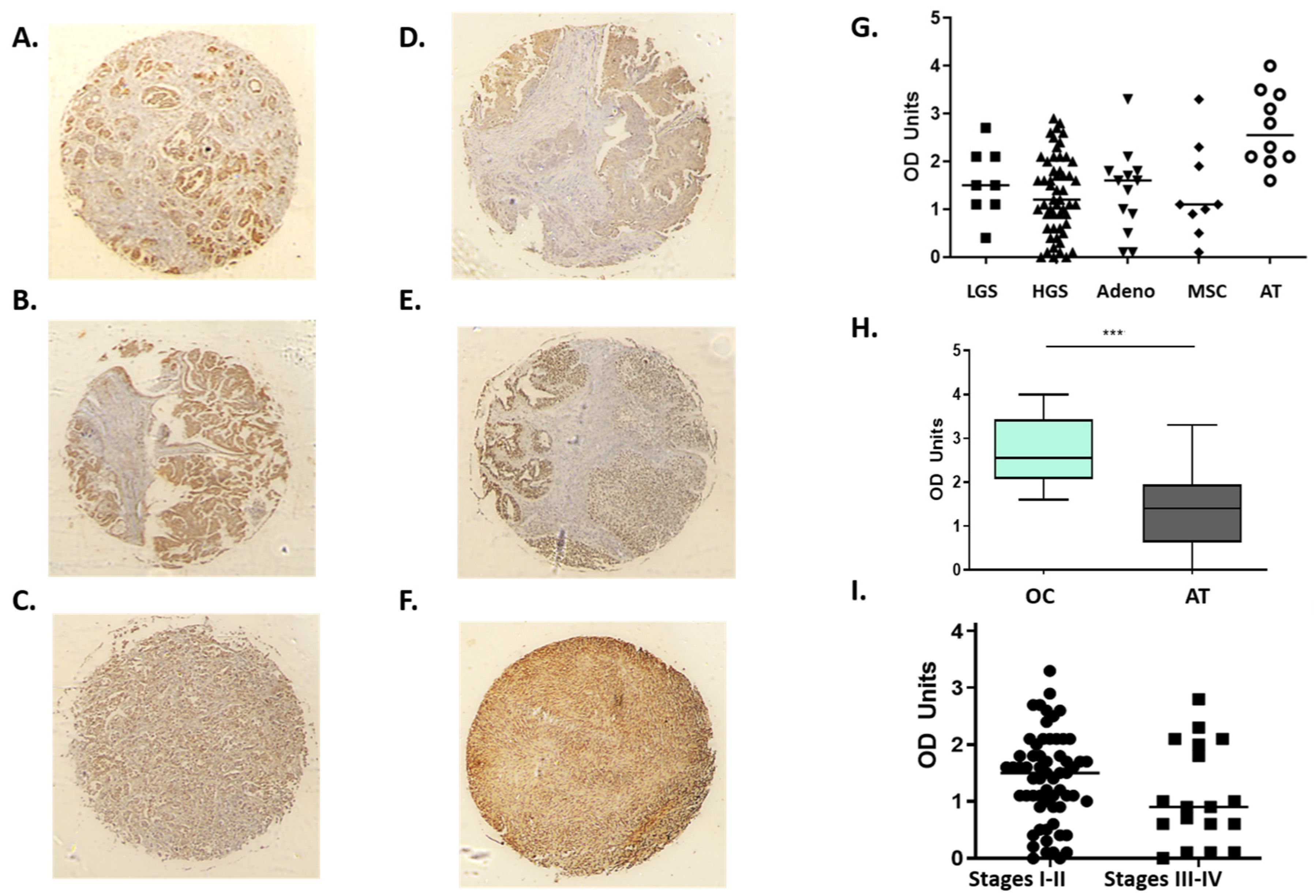Jcm 09 02844 g007 Jcm 09 02844 g007
