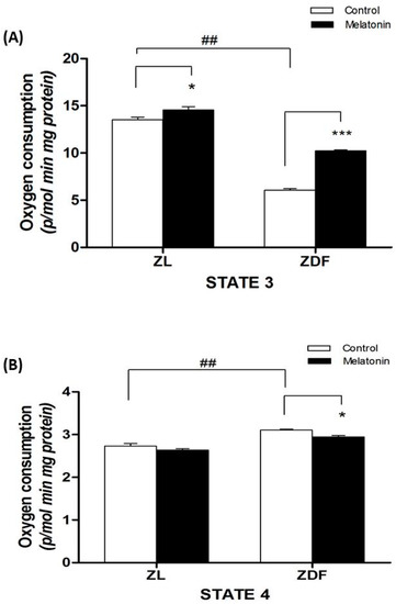 Jcm Free Full Text Melatonin Improves Mitochondrial Dynamics And Function In The Kidney Of Zucker Diabetic Fatty Rats Html