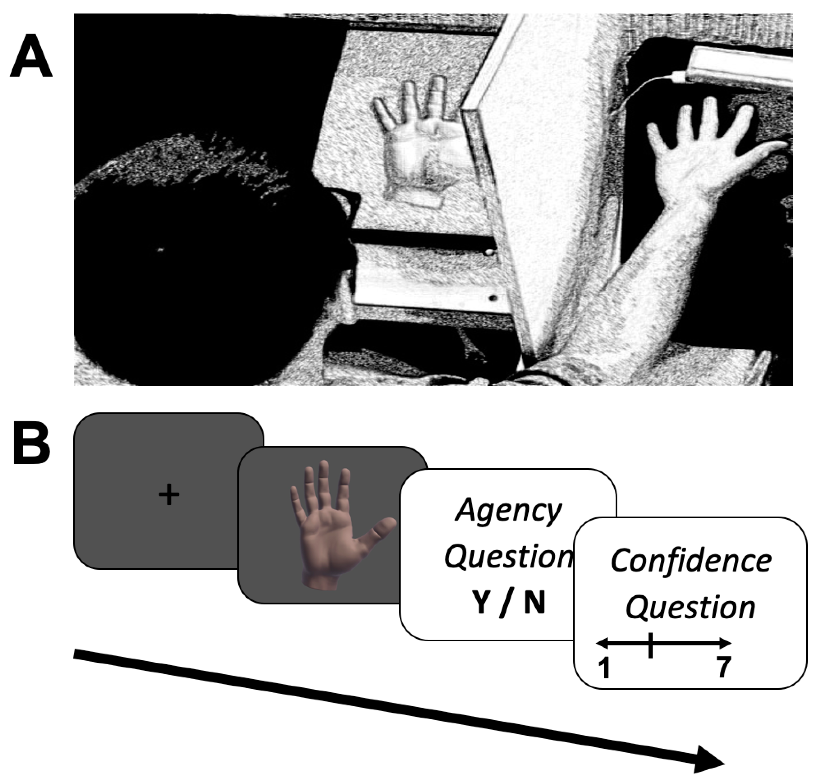 JCM | Free Full-Text | Assessing the Relationship between Sense of Agency,  the Bodily-Self and Stress: Four Virtual-Reality Experiments in Healthy  Individuals