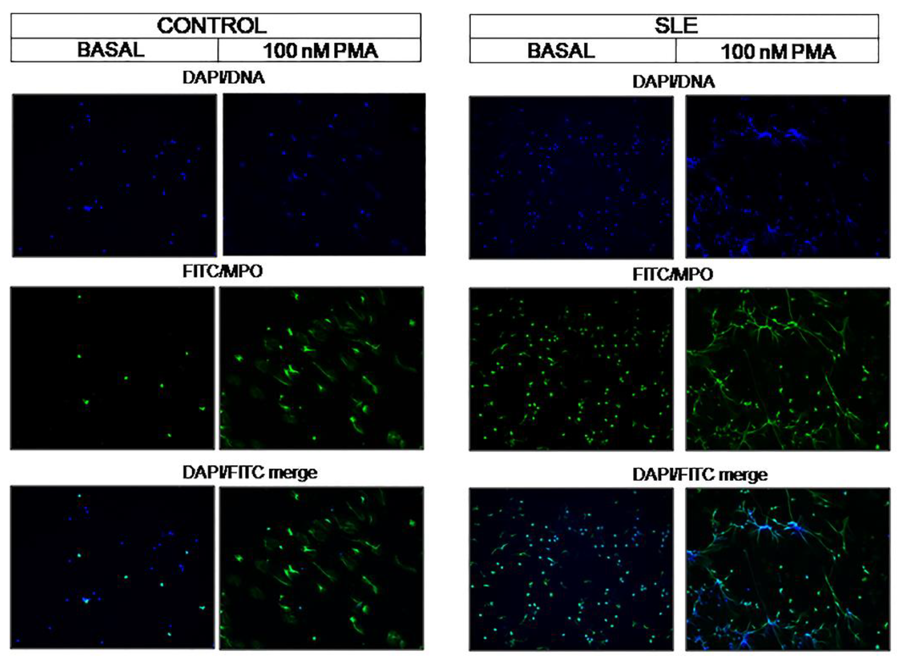 Jcm 09 03297 g004 Jcm 09 03297 g004