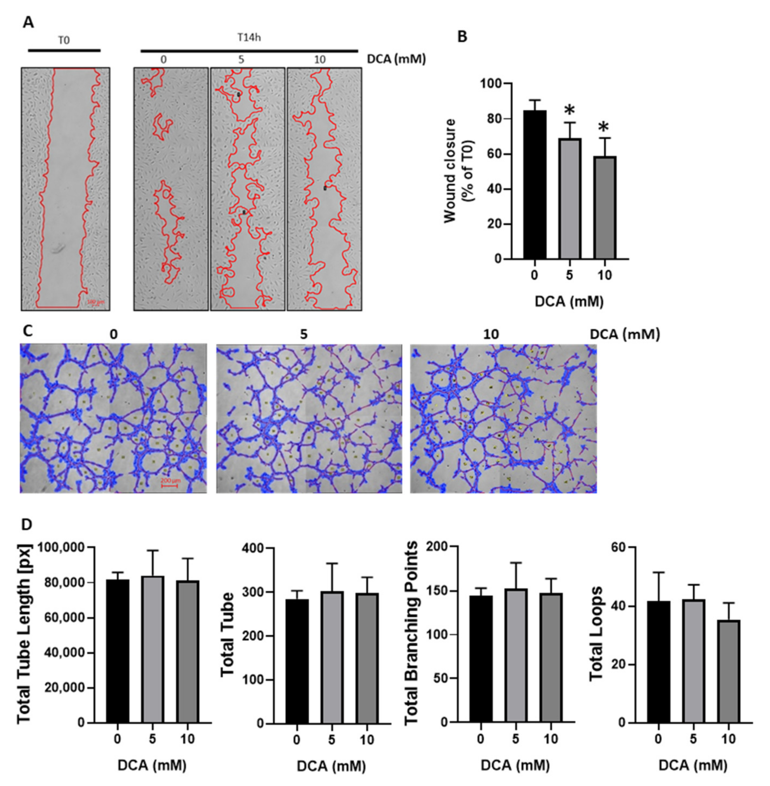 Jcm 09 03308 g002 Jcm 09 03308 g002