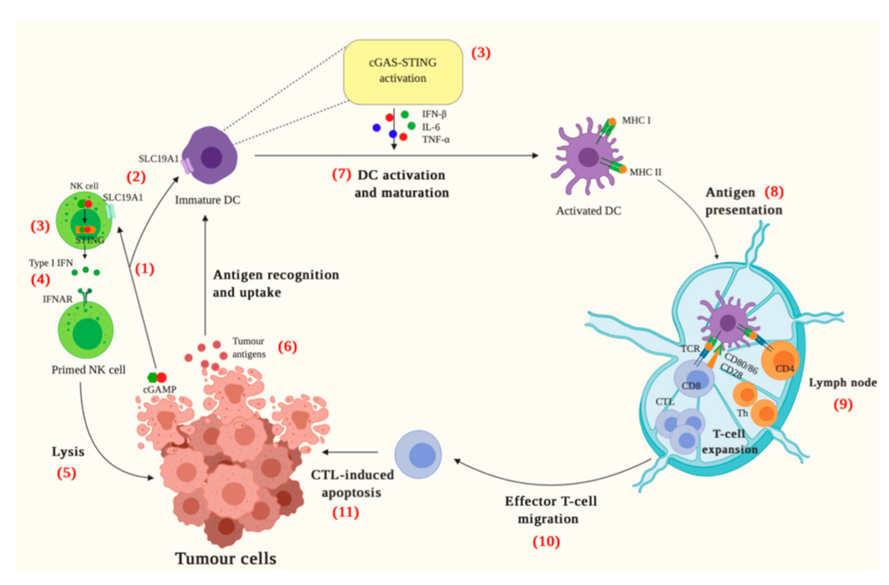 JCM | Free Full-Text | Challenges And Opportunities In The Clinical ...