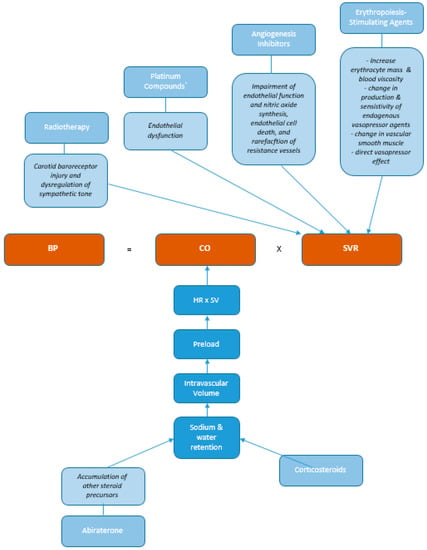 Thresholds for Hypertension Definition, Treatment Initiation, and Treatment  Targets: Recent Guidelines at a Glance