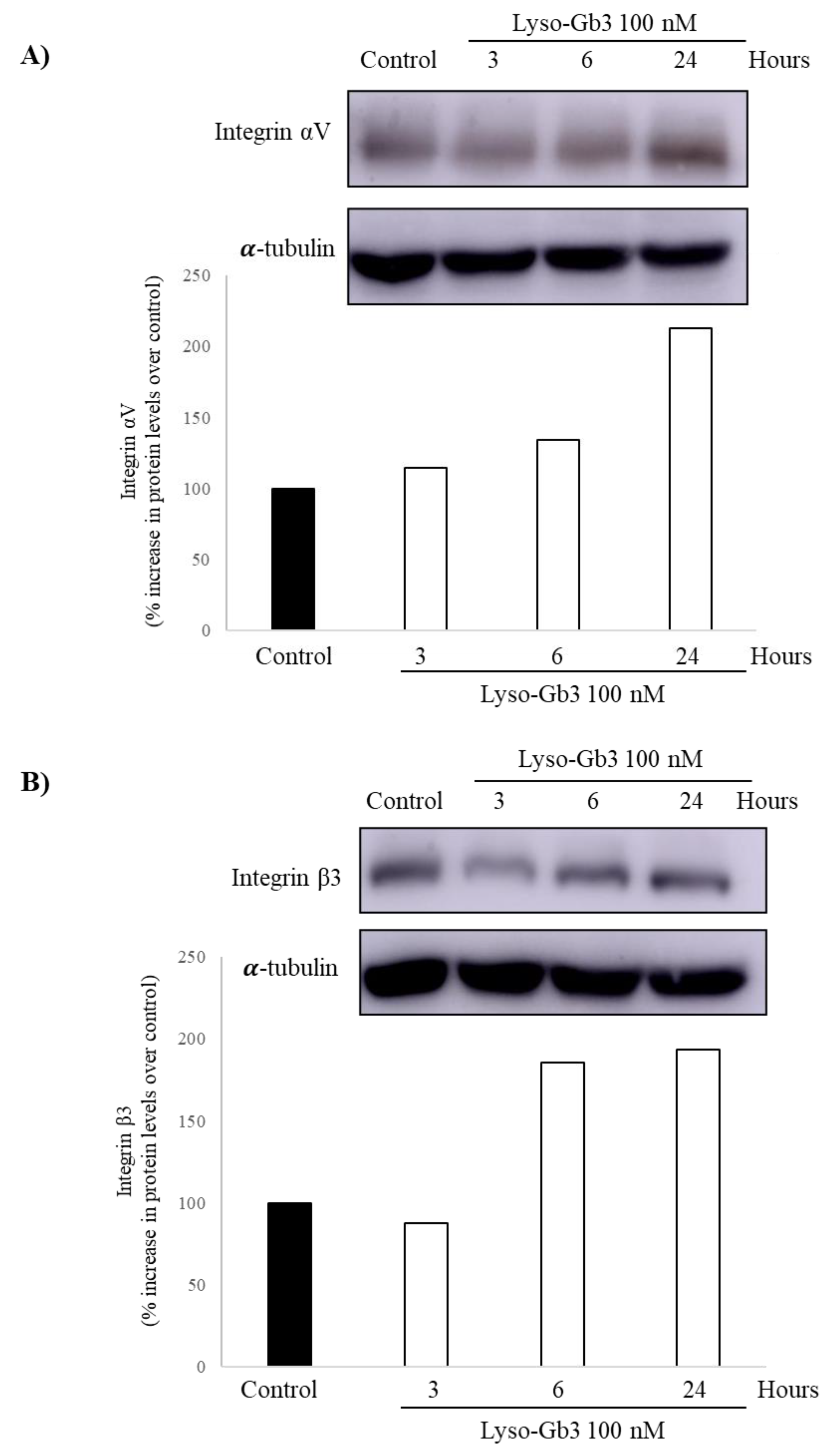 Jcm 09 03659 g004 Jcm 09 03659 g004