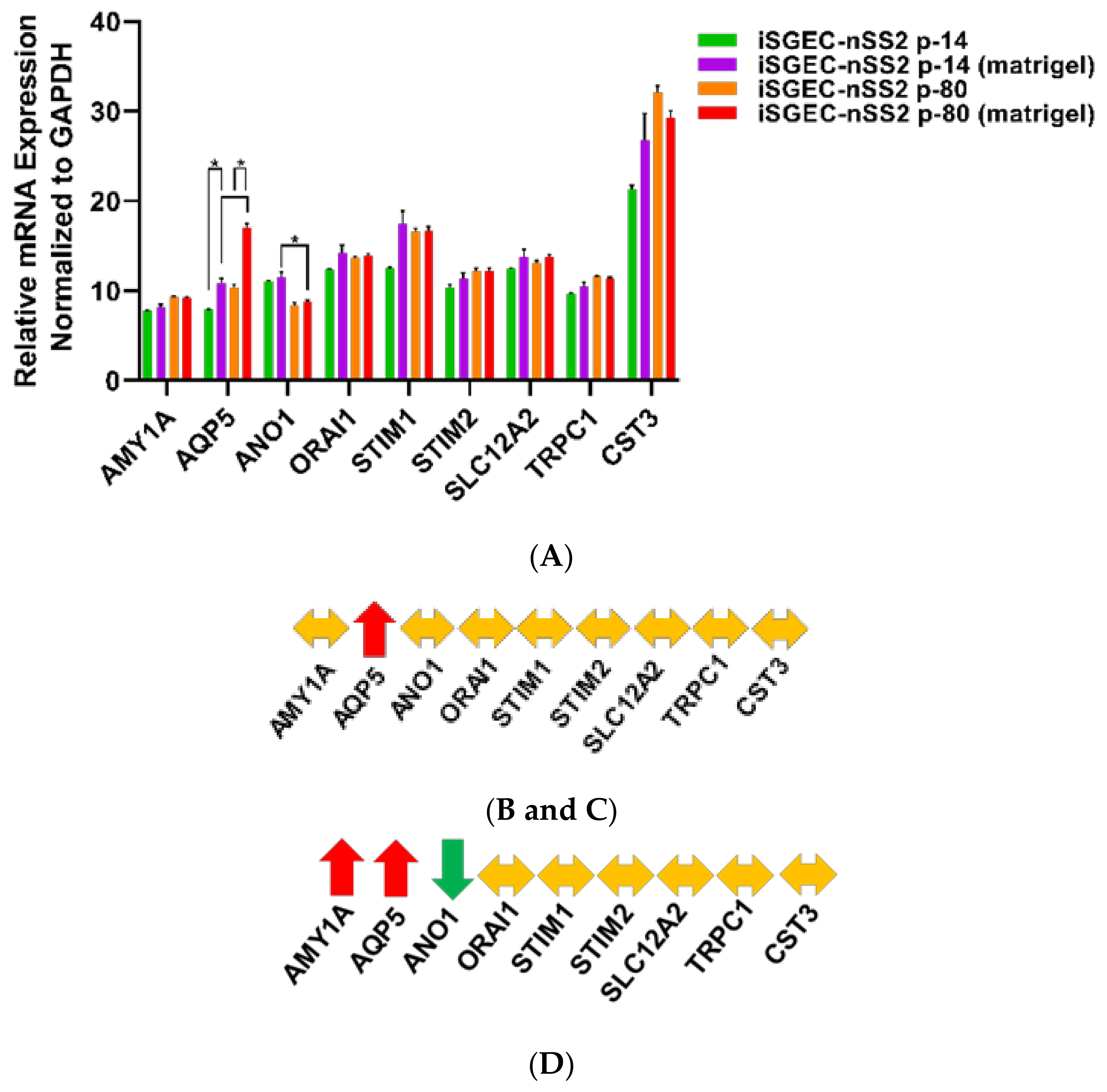 Jcm 09 03820 g008a Jcm 09 03820 g008a