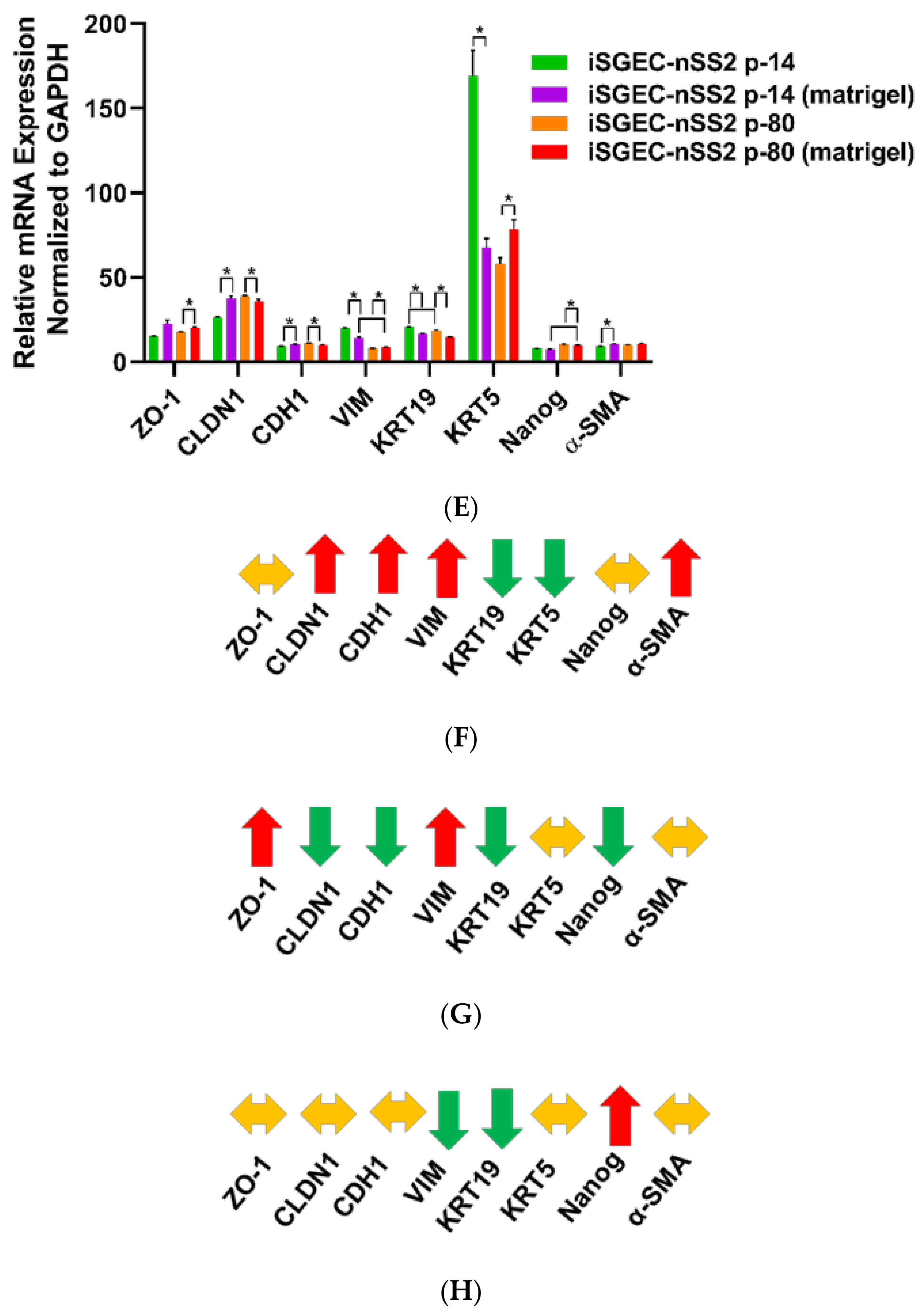 Jcm 09 03820 g008b Jcm 09 03820 g008b
