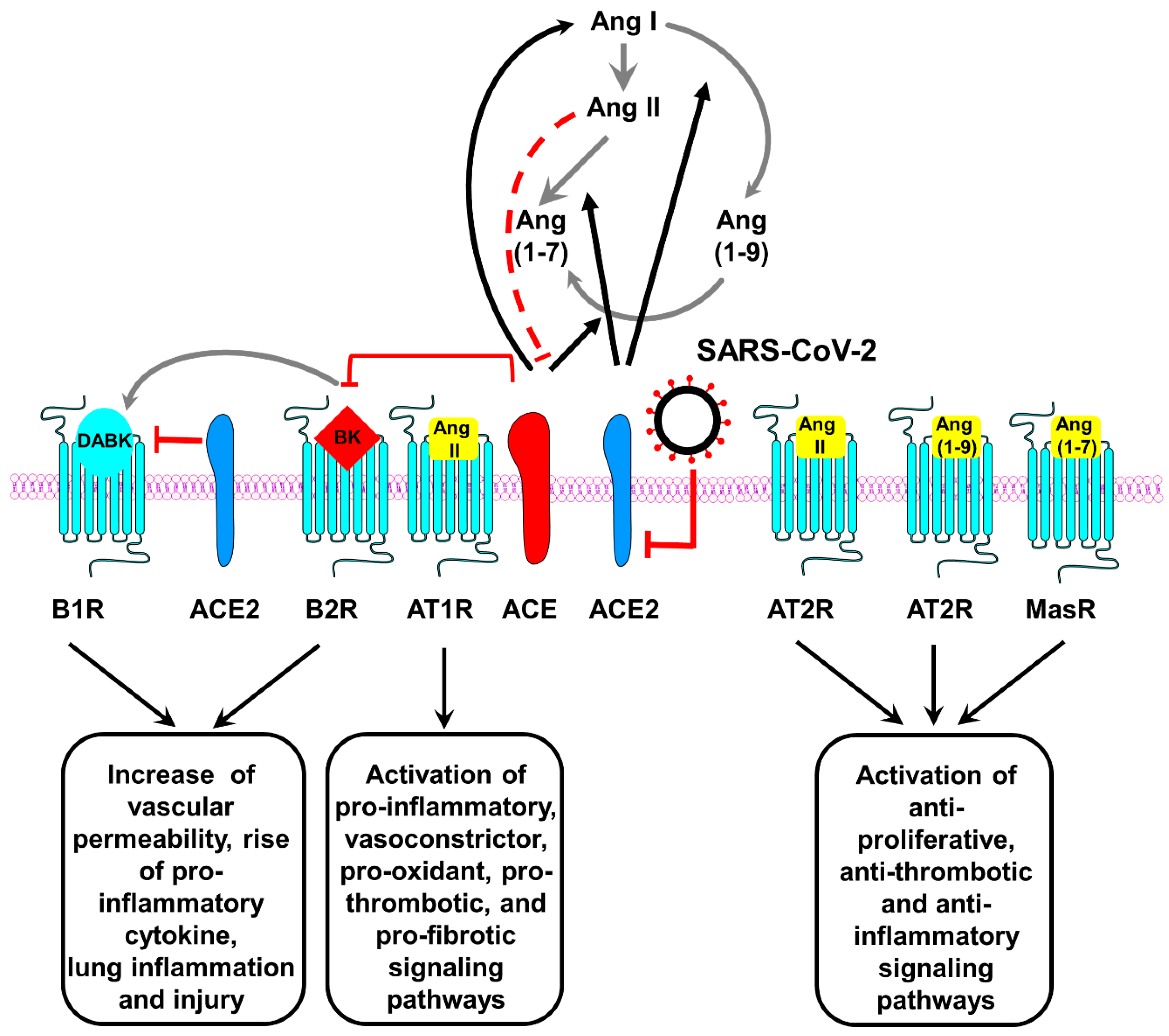 Пути передачи sars cov 2. Регистр Актив SARS-cov-2. Life circle of SARS cov 2. Figure 2.2 two Filters similar to the one involved in the accident.