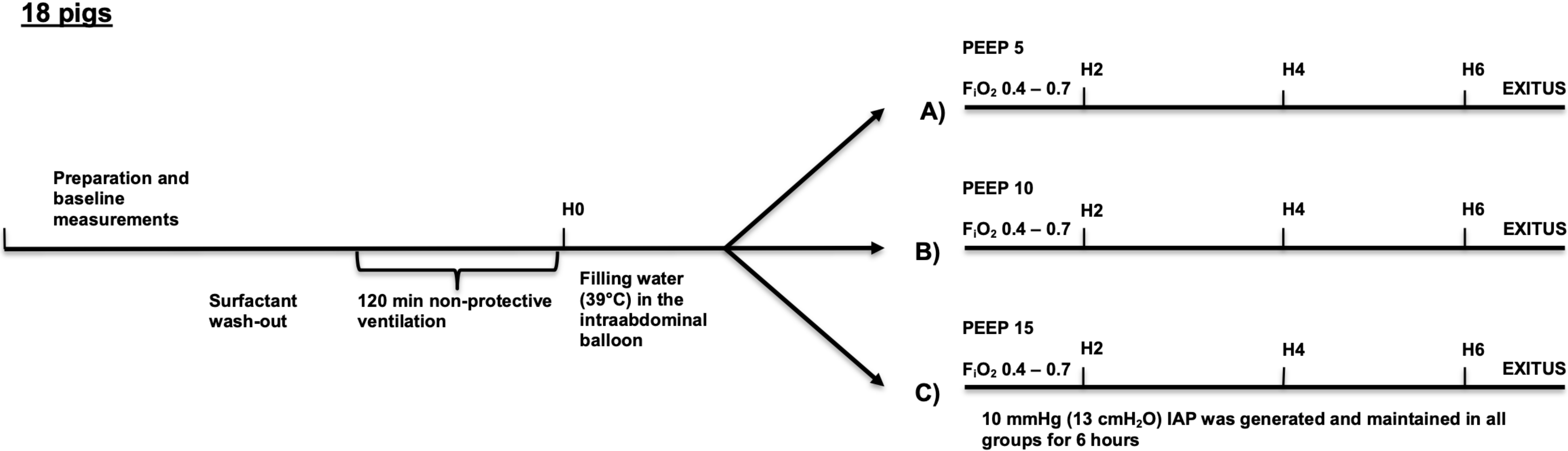 What is normal intra-abdominal pressure and how is it affected by  positioning, body mass and positive end-expiratory pressure?