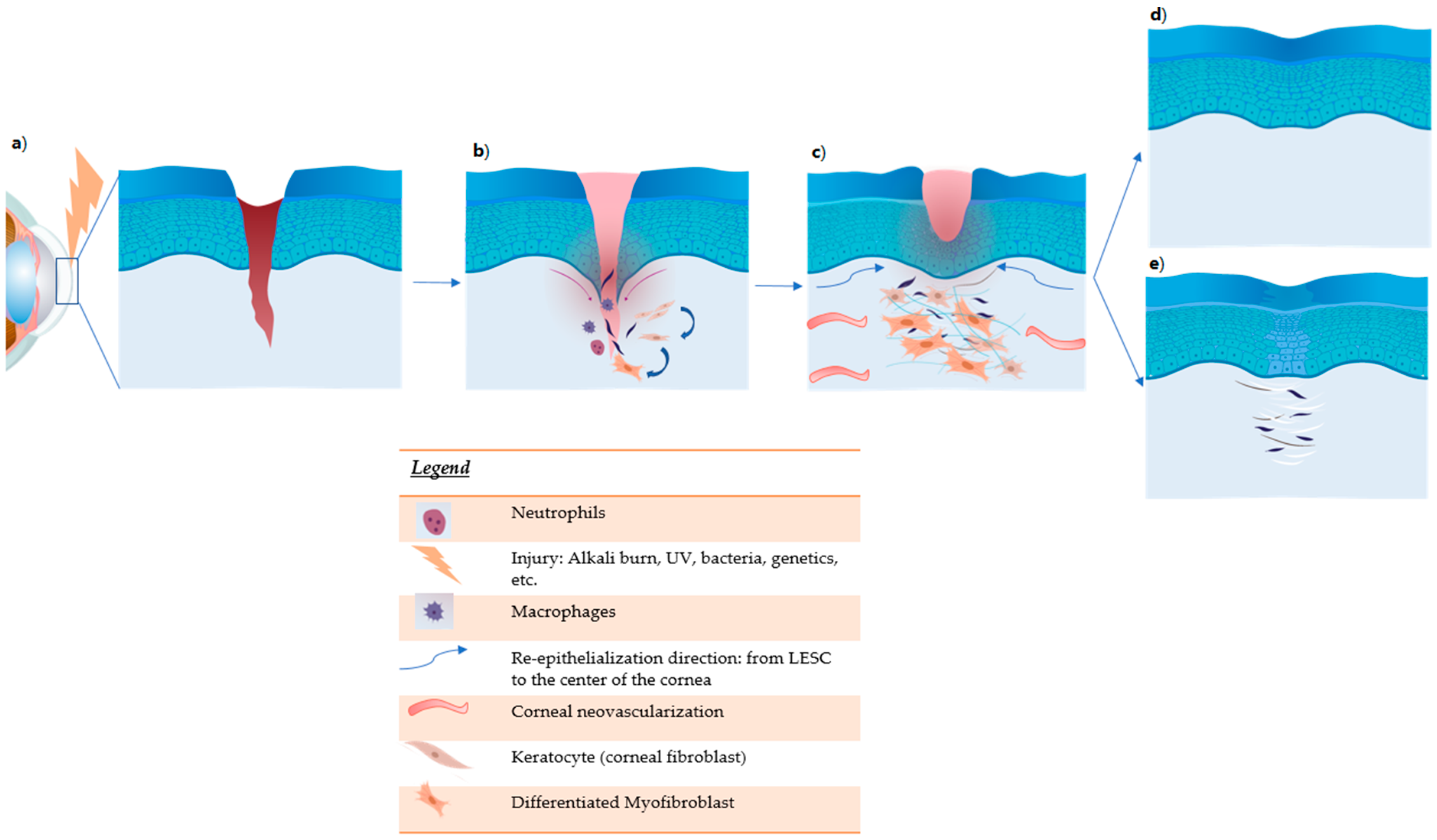 Jcm 10 00317 g003 Jcm 10 00317 g003