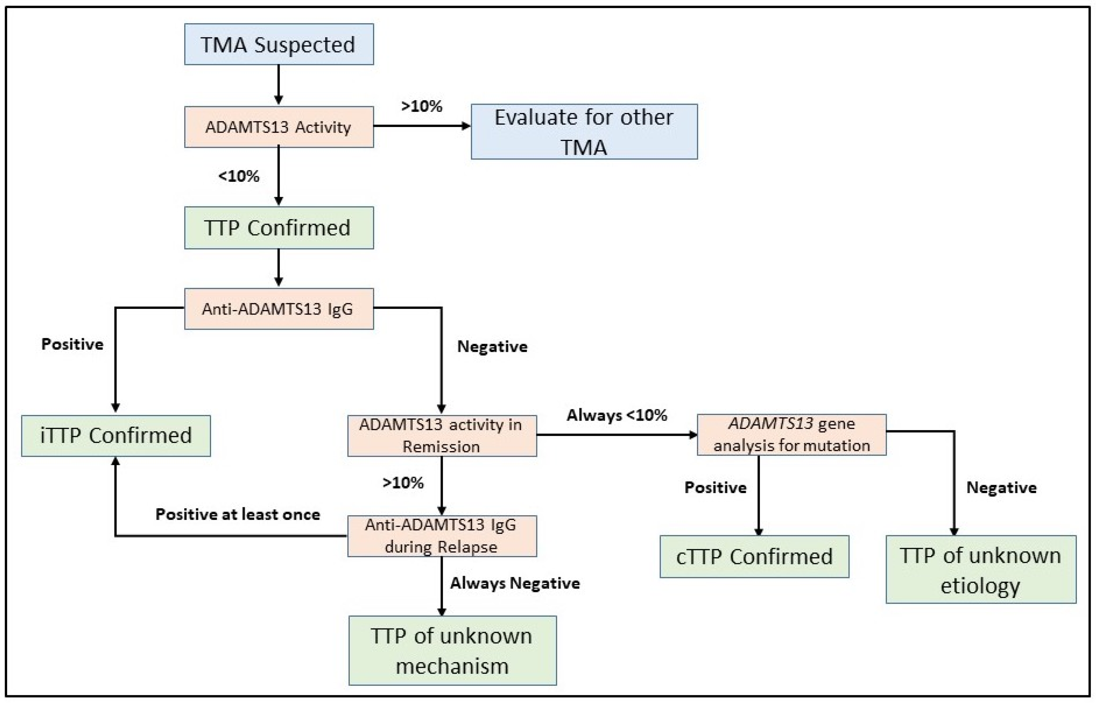 Jcm Free Full Text Thrombotic Thrombocytopenic Purpura Pathophysiology Diagnosis And