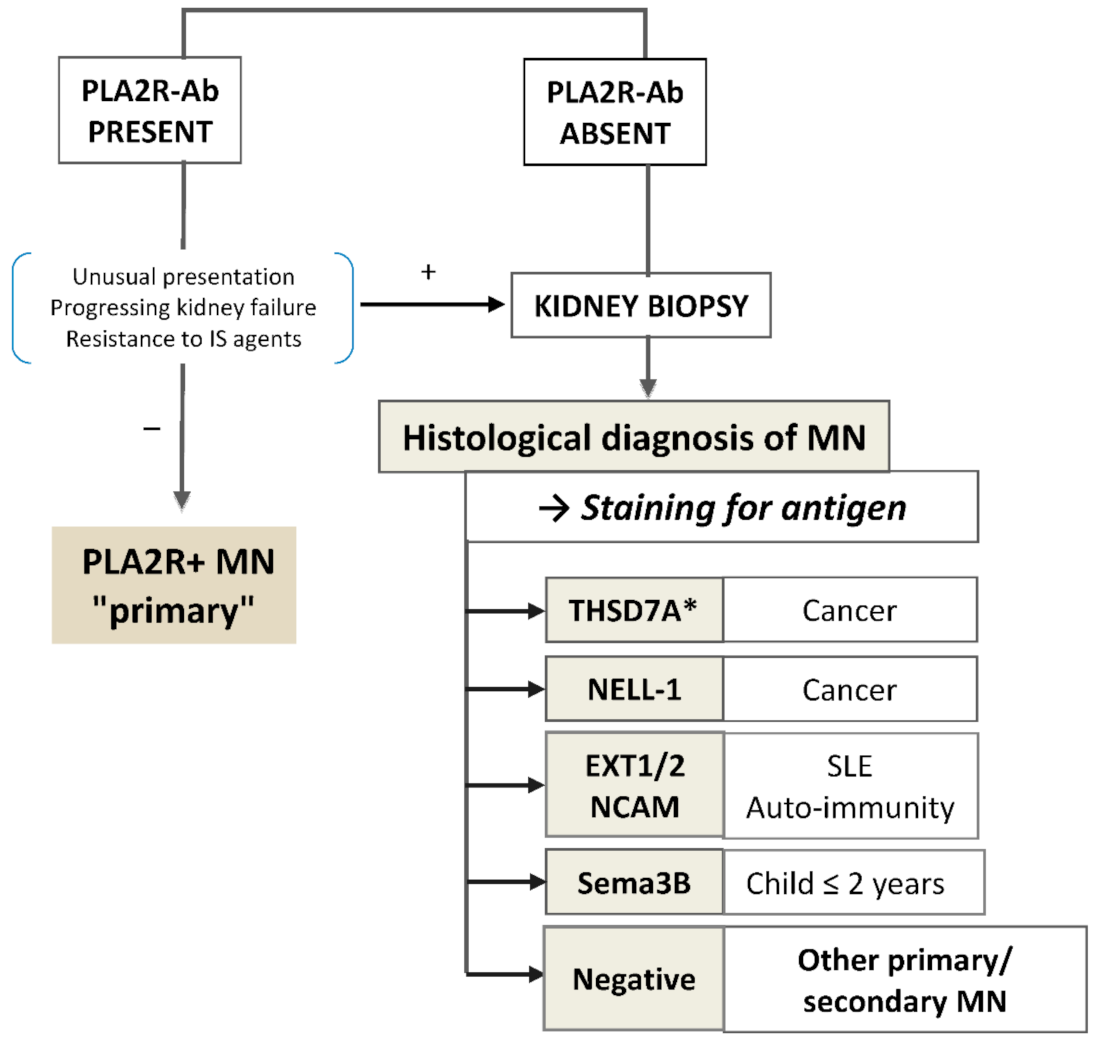 Jcm 10 00607 g004 Jcm 10 00607 g004
