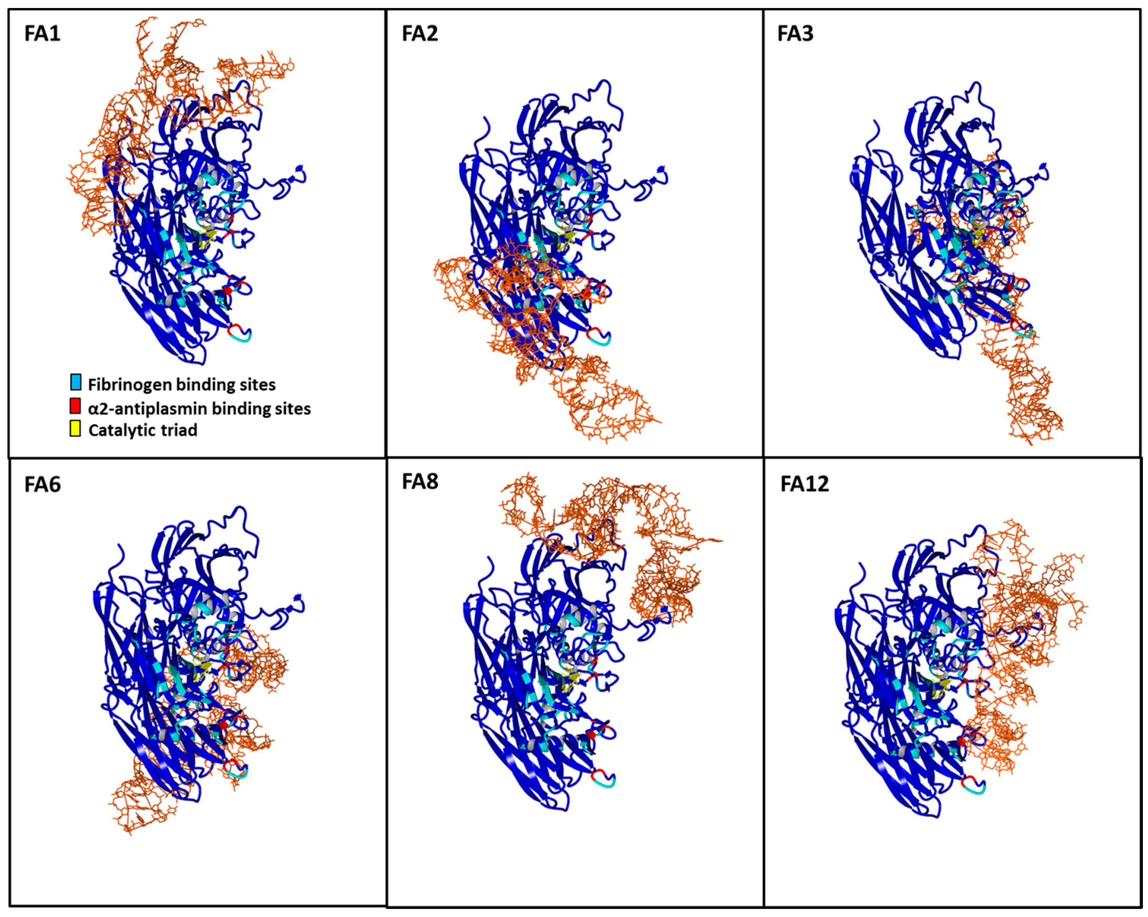Jcm 10 00677 g004 Jcm 10 00677 g004