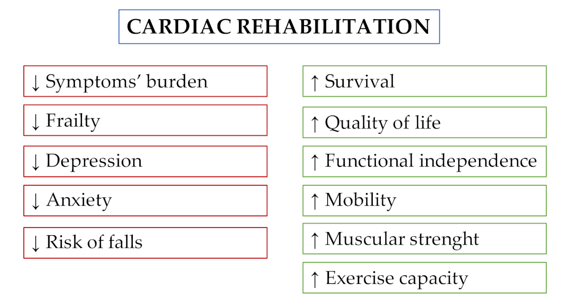 JCM | Free Full-Text | Transcatheter Aortic Valve Implantation: The New ...