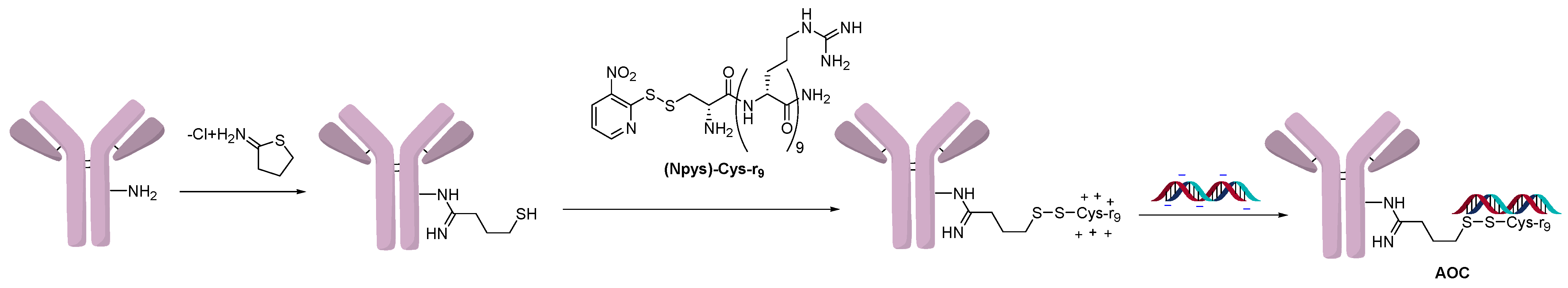 Jcm 10 00838 g003 Jcm 10 00838 g003