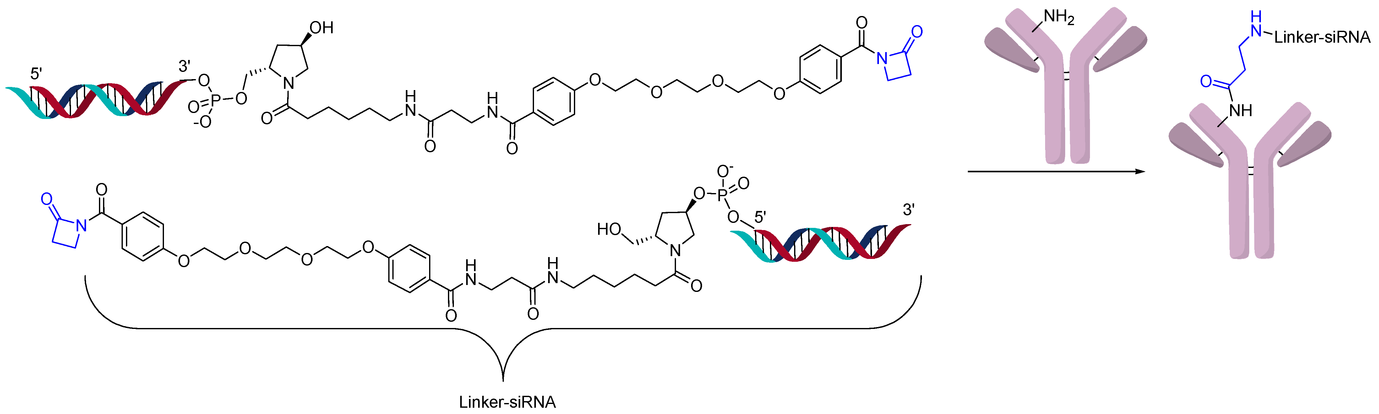 Jcm 10 00838 g010 Jcm 10 00838 g010