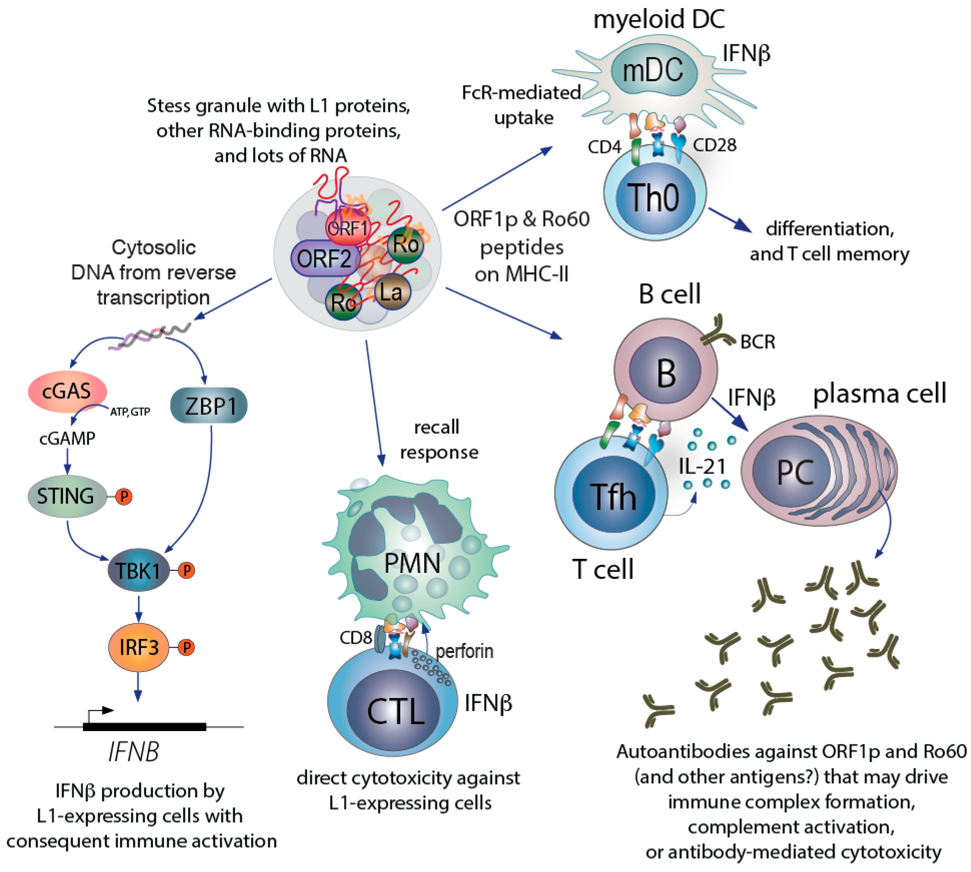 Jcm 10 00856 g003 Jcm 10 00856 g003