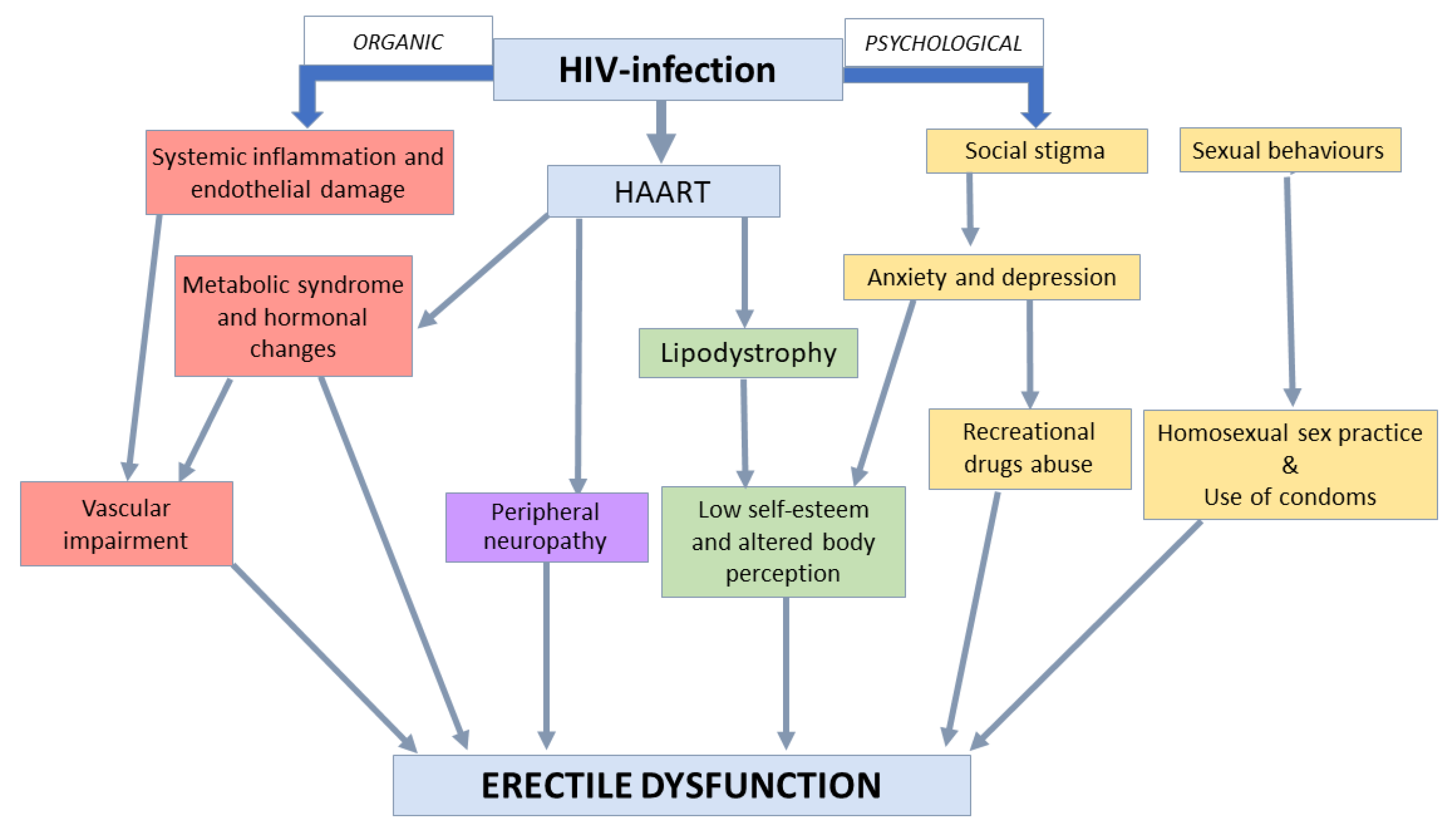 JCM | Free Full-Text | HIV and Sexual Dysfunction in Men | HTML