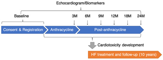 Baseline Global Longitudinal Strain Predictive Anthracycline