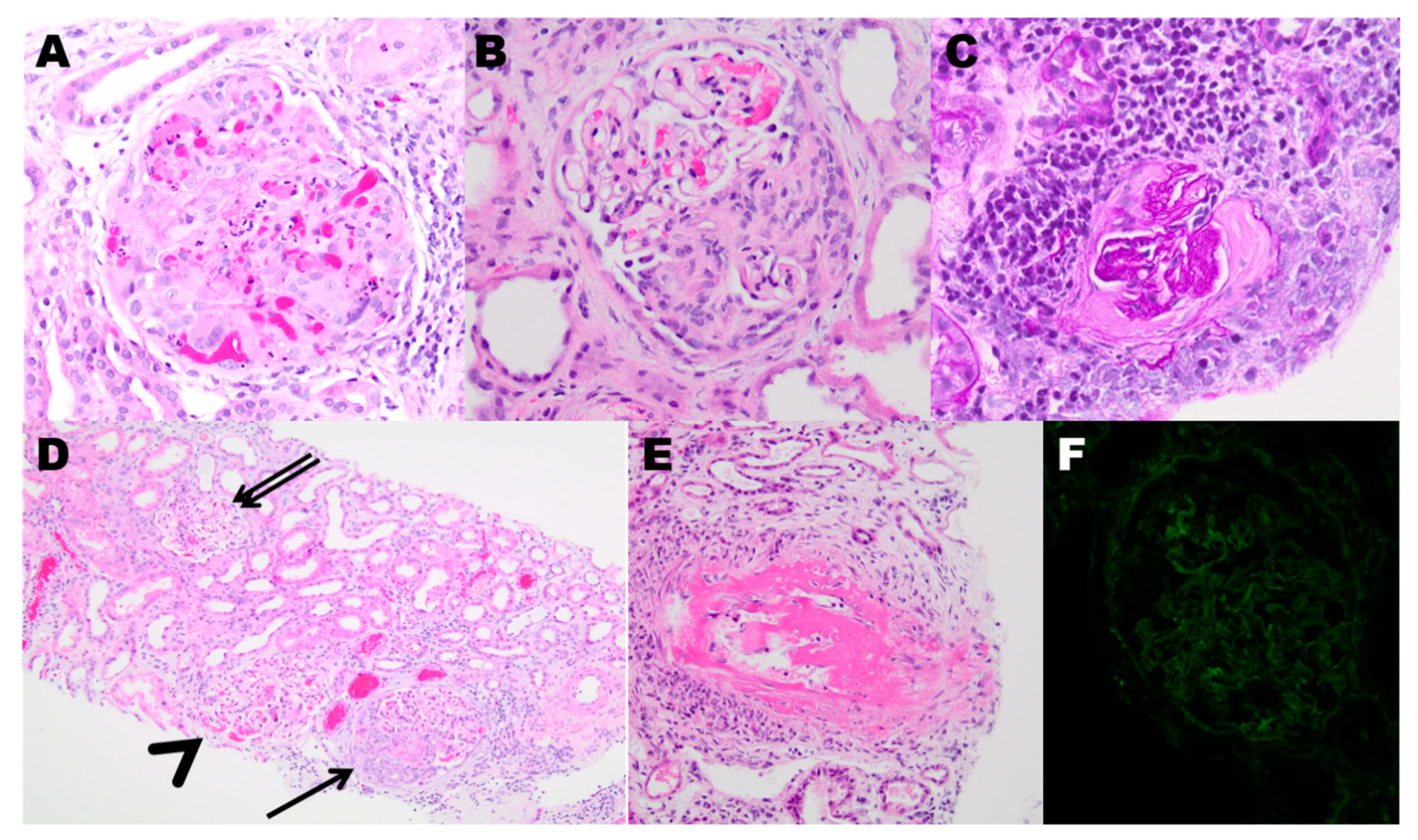 Jcm 10 01446 g002 Jcm 10 01446 g002