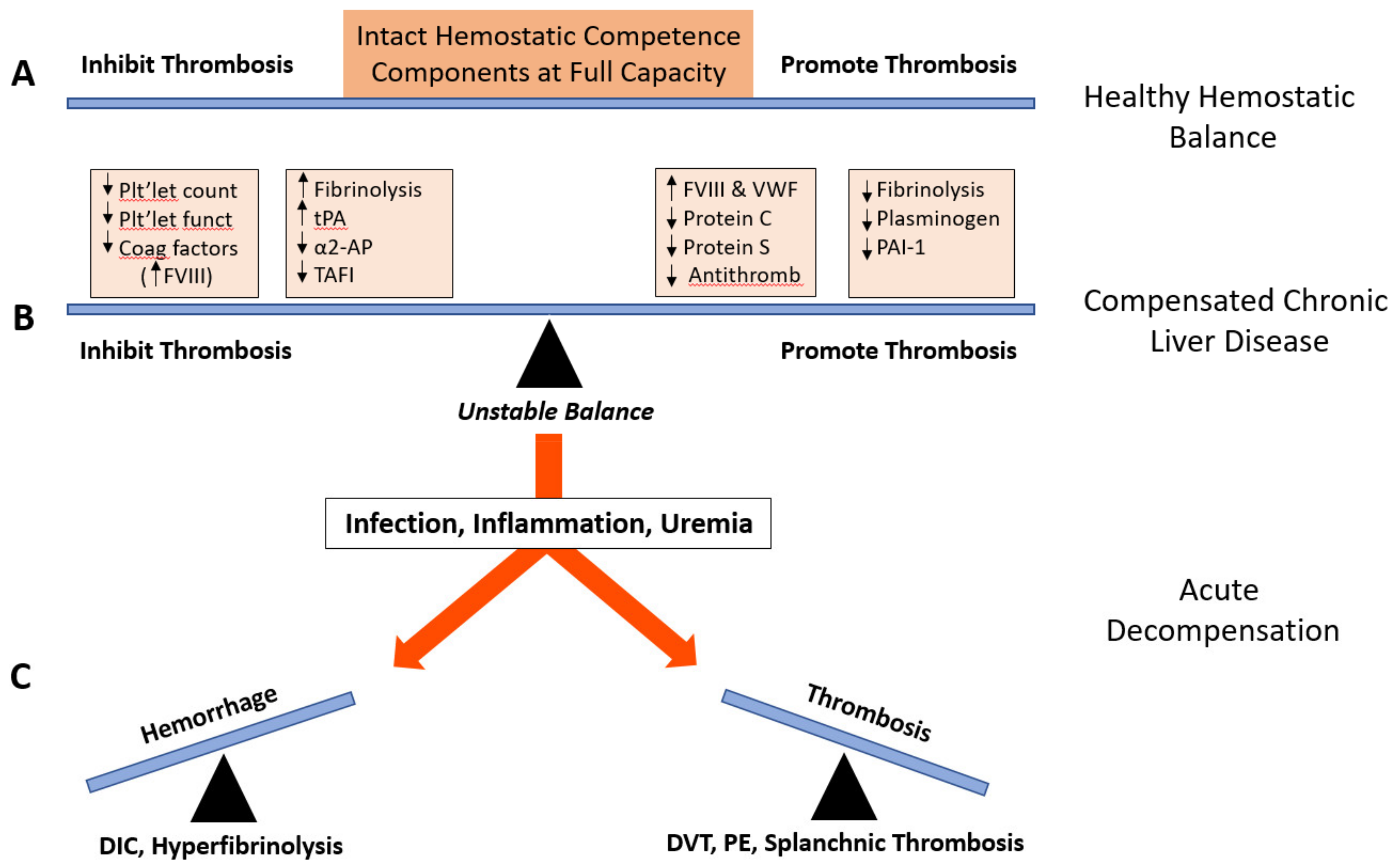 JCM | Free Full-Text | Thrombocytopenia and Hemostatic Changes in Acute and  Chronic Liver Disease: Pathophysiology, Clinical and Laboratory Features,  and Management