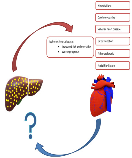 JCM | Free Full-Text | Interplay between Heart Disease and 