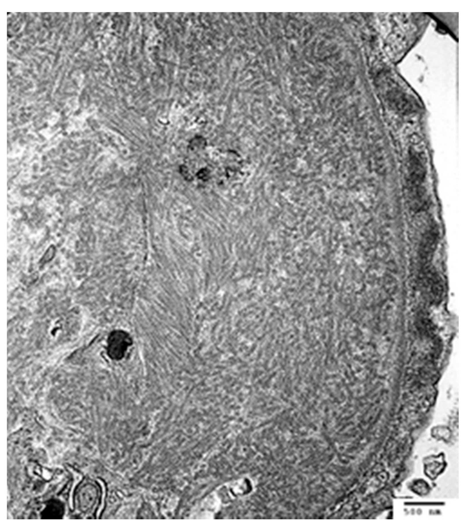 Jcm 10 01633 g006 Jcm 10 01633 g006