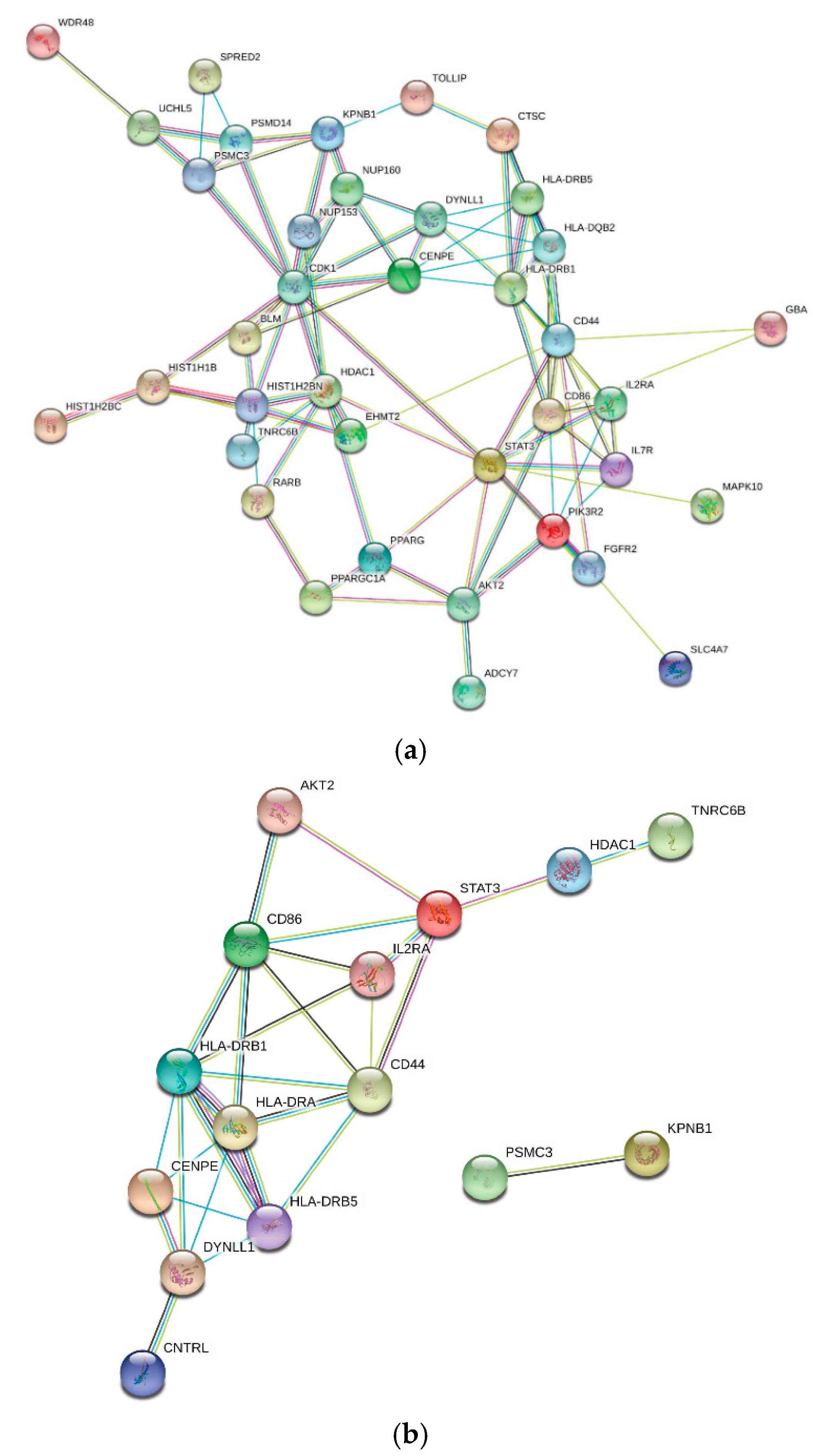 covid 19 data mining research paper