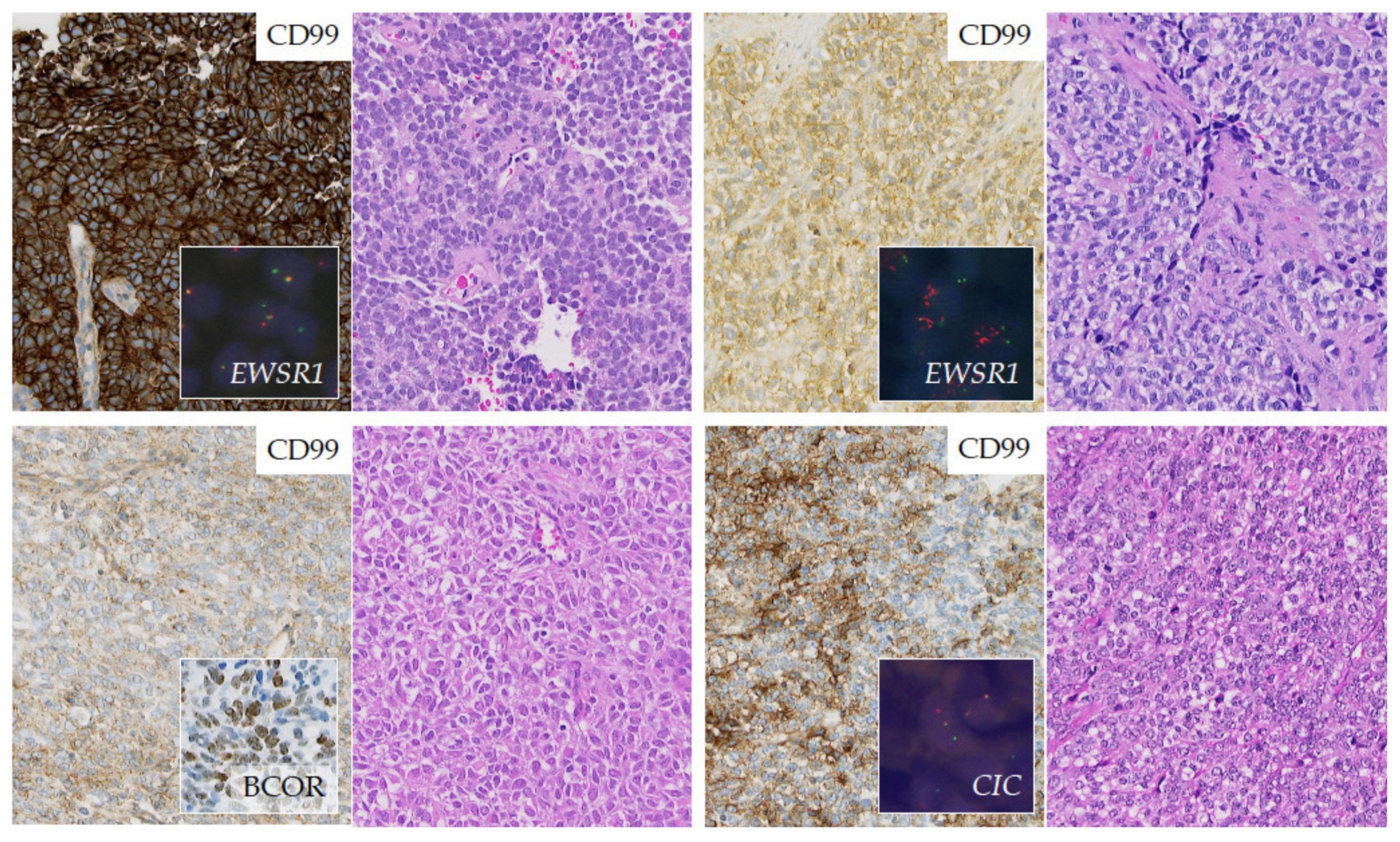 Jcm 10 01685 g005 Jcm 10 01685 g005