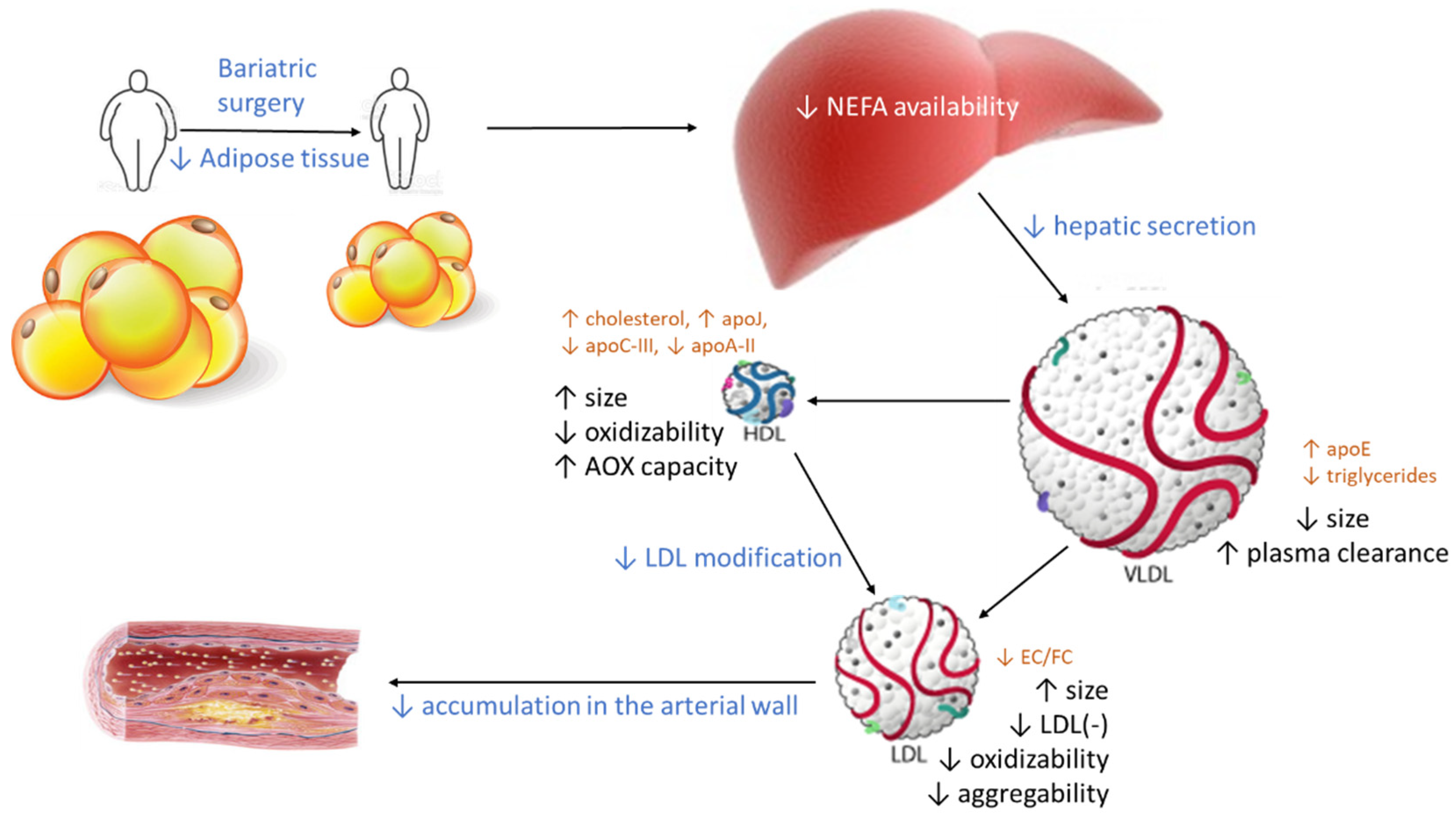 Jcm 10 01716 g007 Jcm 10 01716 g007