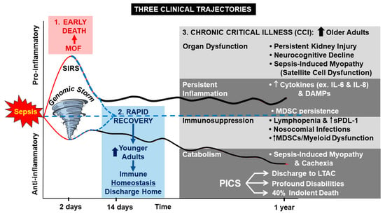 Jcm Free Full Text Dysregulated Immunity And Immunotherapy After Sepsis Html