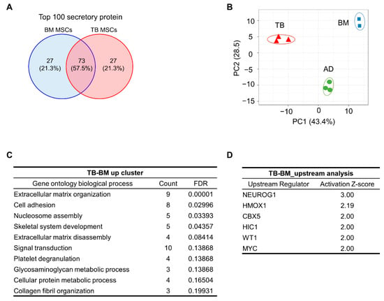 Jcm Free Full Text Nasal Turbinate Mesenchymal Stromal Cells Preserve Characteristics Of Their Neural Crest Origin And Exert Distinct Paracrine Activity Html