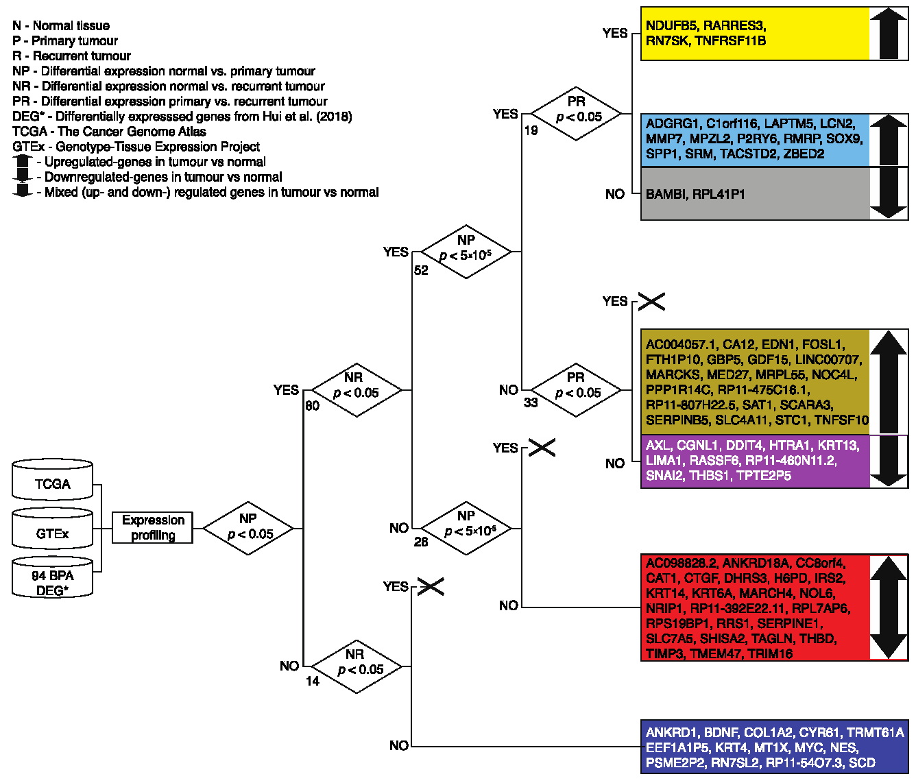 Jcm 10 01979 g001 Jcm 10 01979 g001