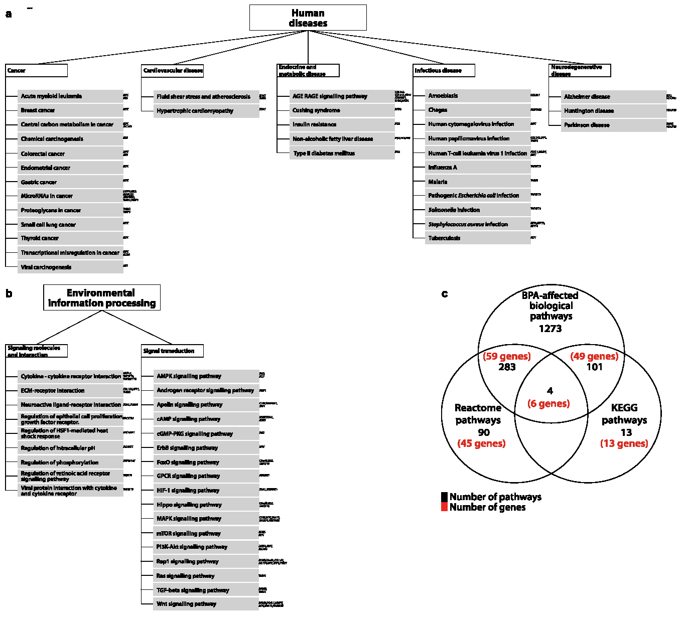 Jcm 10 01979 g003 Jcm 10 01979 g003