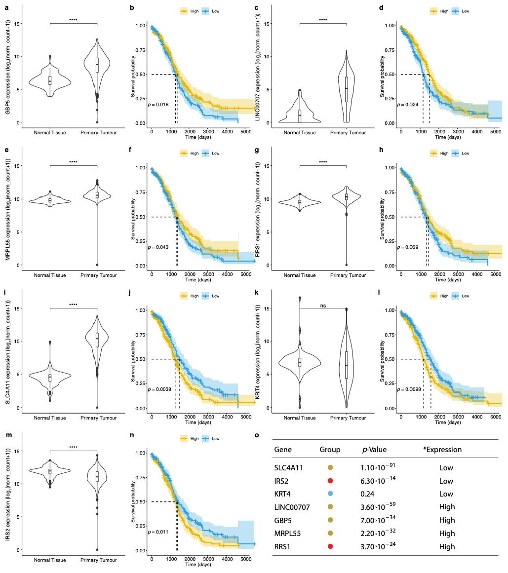 Jcm 10 01979 g004 Jcm 10 01979 g004