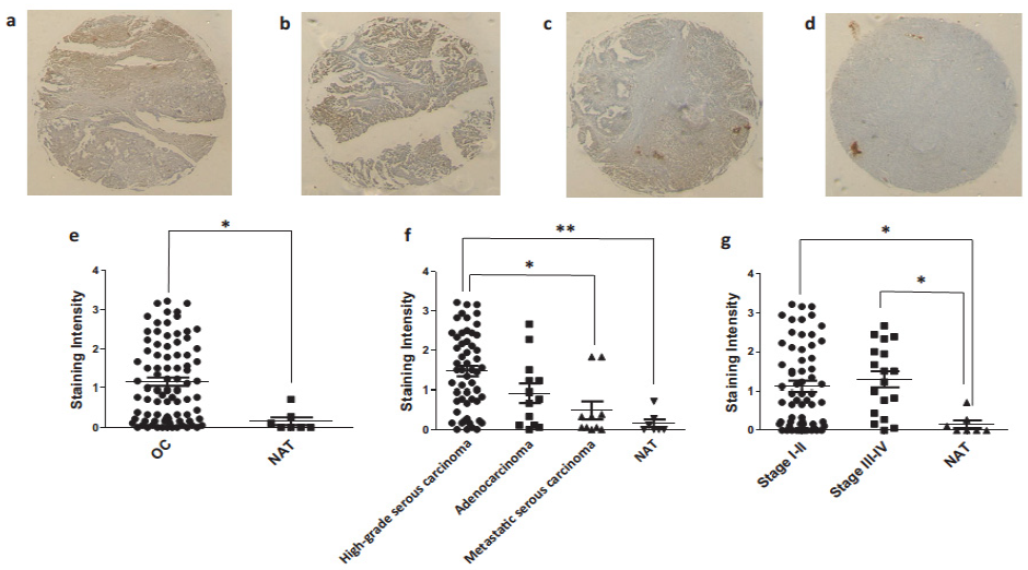 Jcm 10 01979 g009 Jcm 10 01979 g009