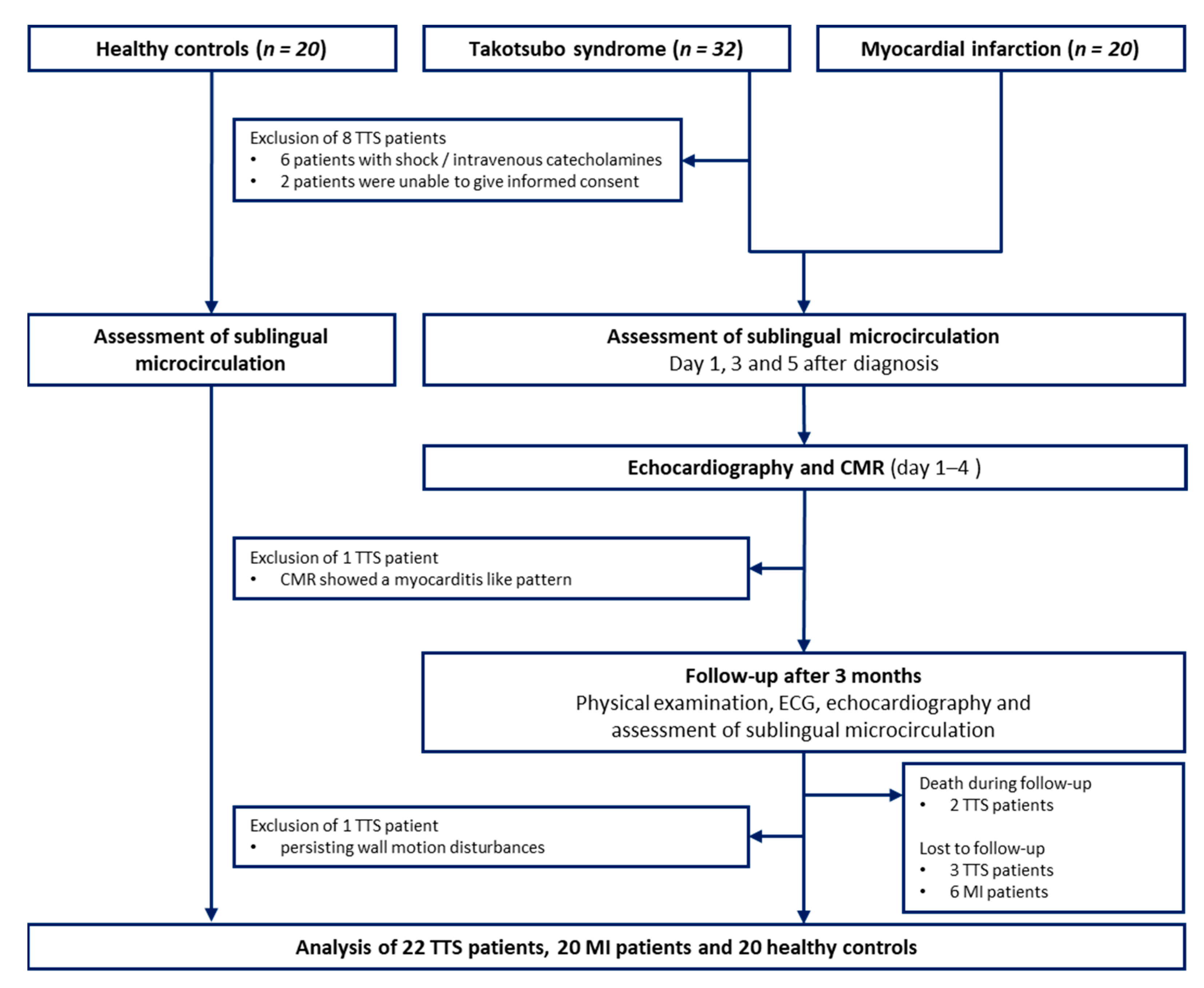 JCM | Free Full-Text | Microcirculation in Patients with Takotsubo ...