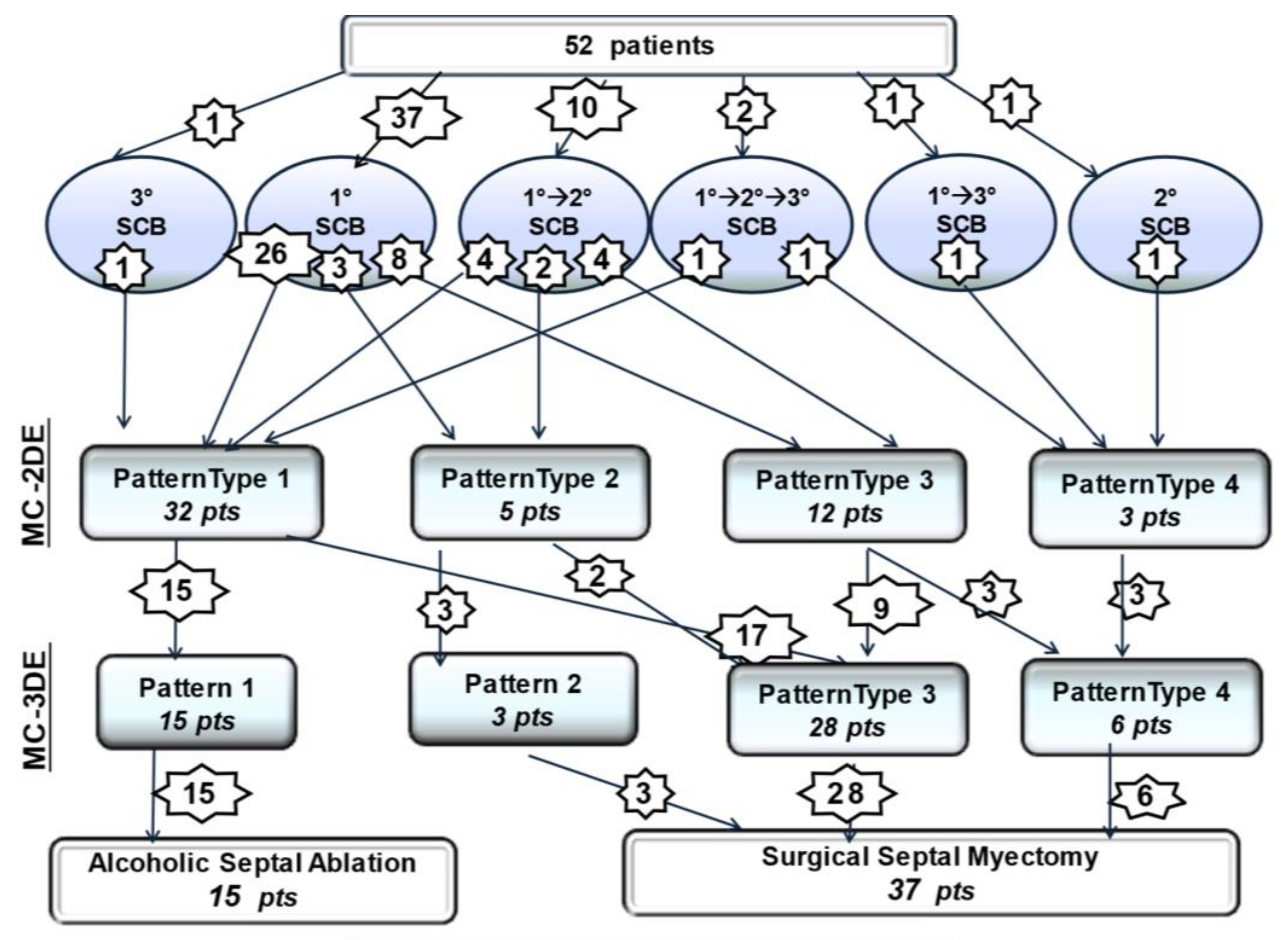 JCM | Free Full-Text | Targeting Alcohol Septal Ablation in Patients with  Obstructive Hypertrophic Cardiomyopathy Candidates for Surgical Myectomy:  Added Value of Three-Dimensional Intracoronary Myocardial Contrast  Echocardiography