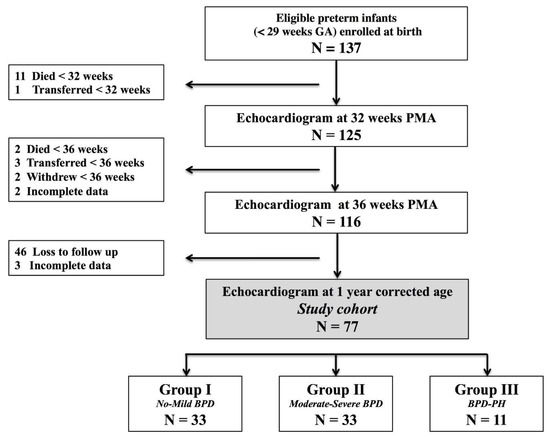 JCM | Free Full-Text | Left Ventricle Phenotyping Utilizing Tissue